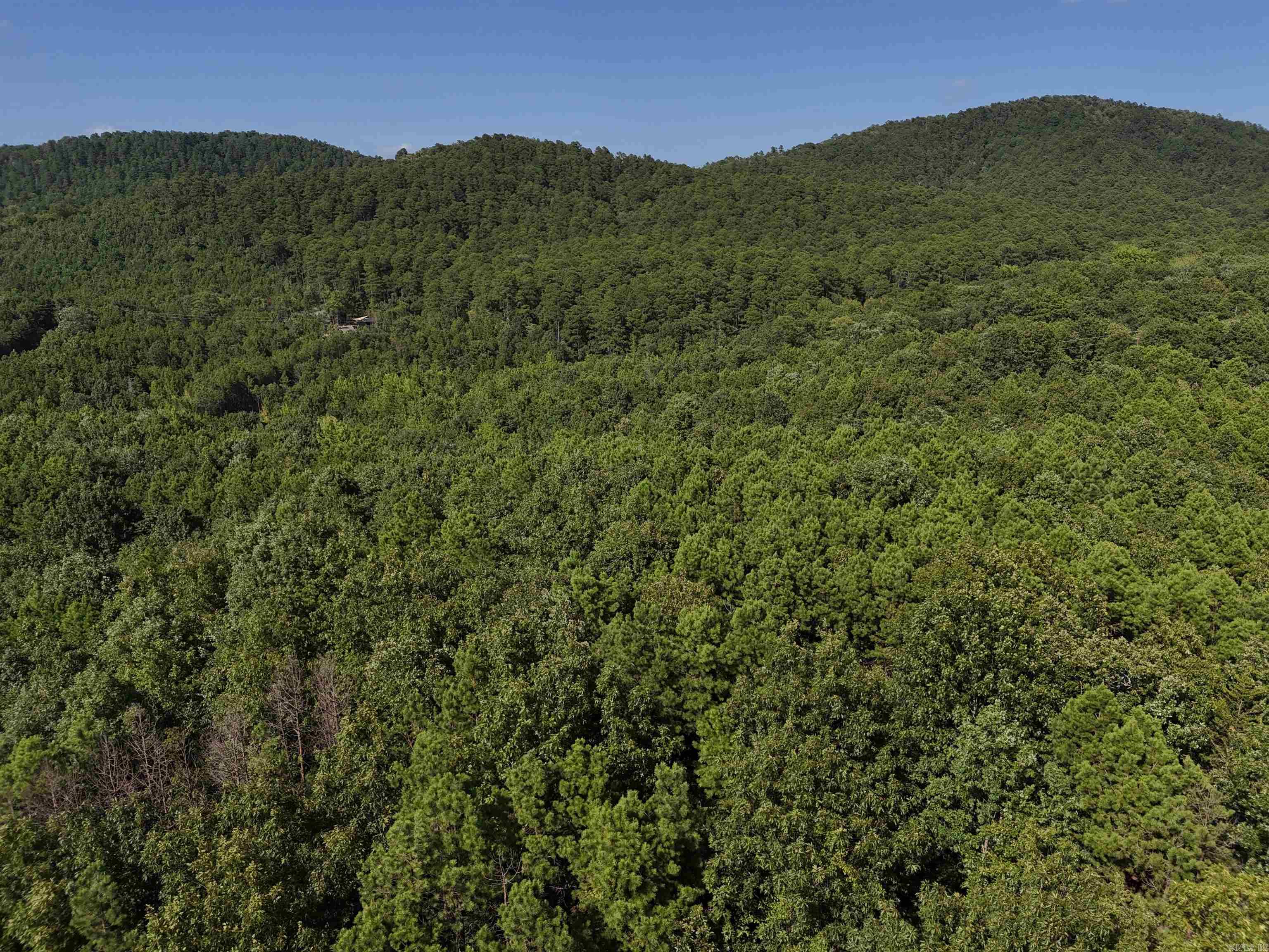 Lot 11 Polk Road 78  Mena, AR