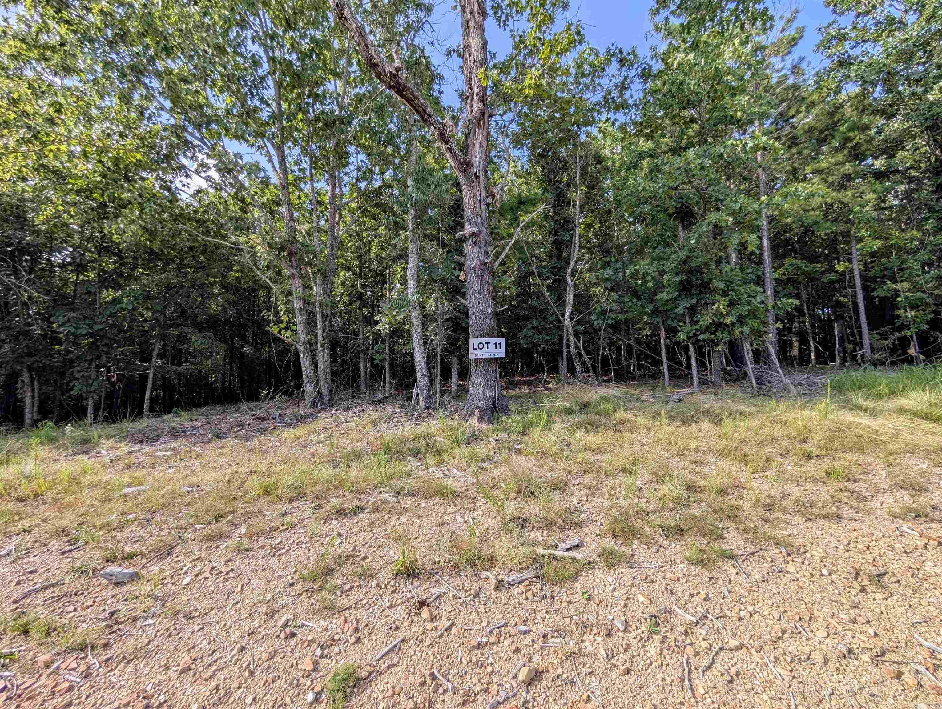 Lot 11 Polk Road 78  Mena, AR
