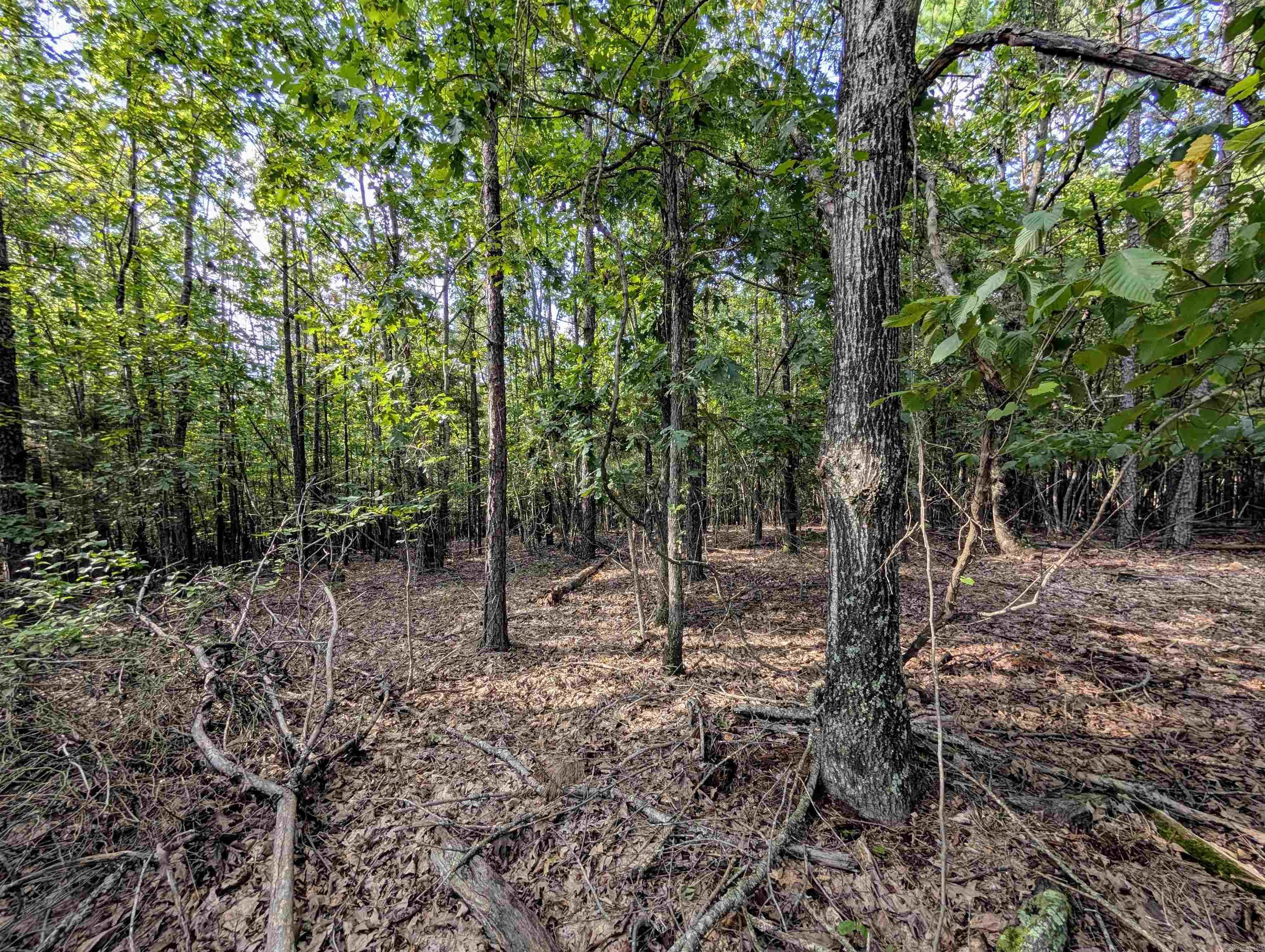 Lot 11 Polk Road 78  Mena, AR