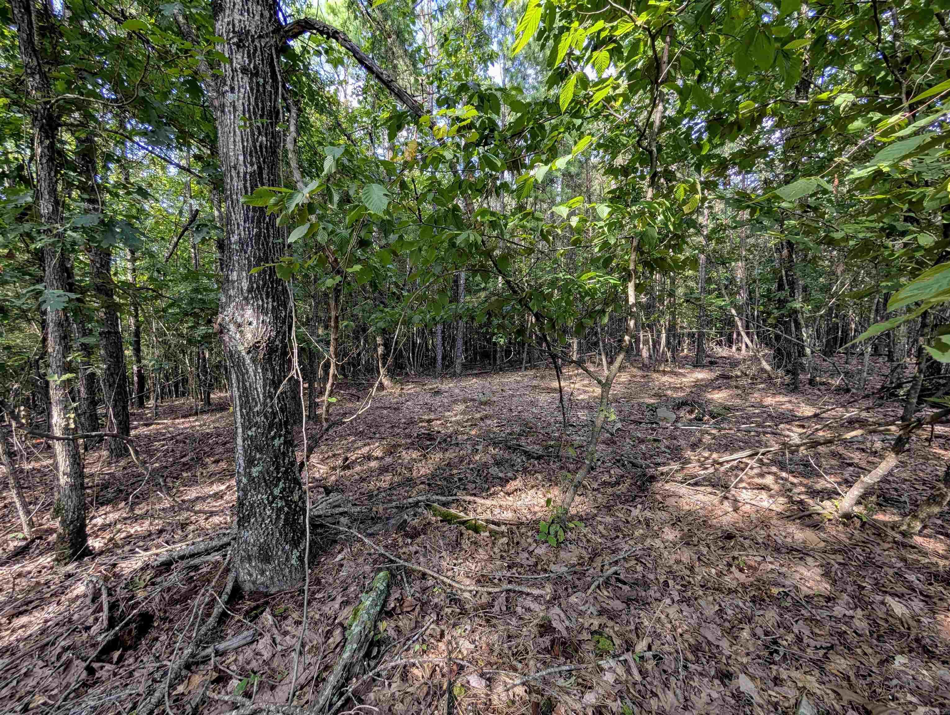 Lot 11 Polk Road 78  Mena, AR