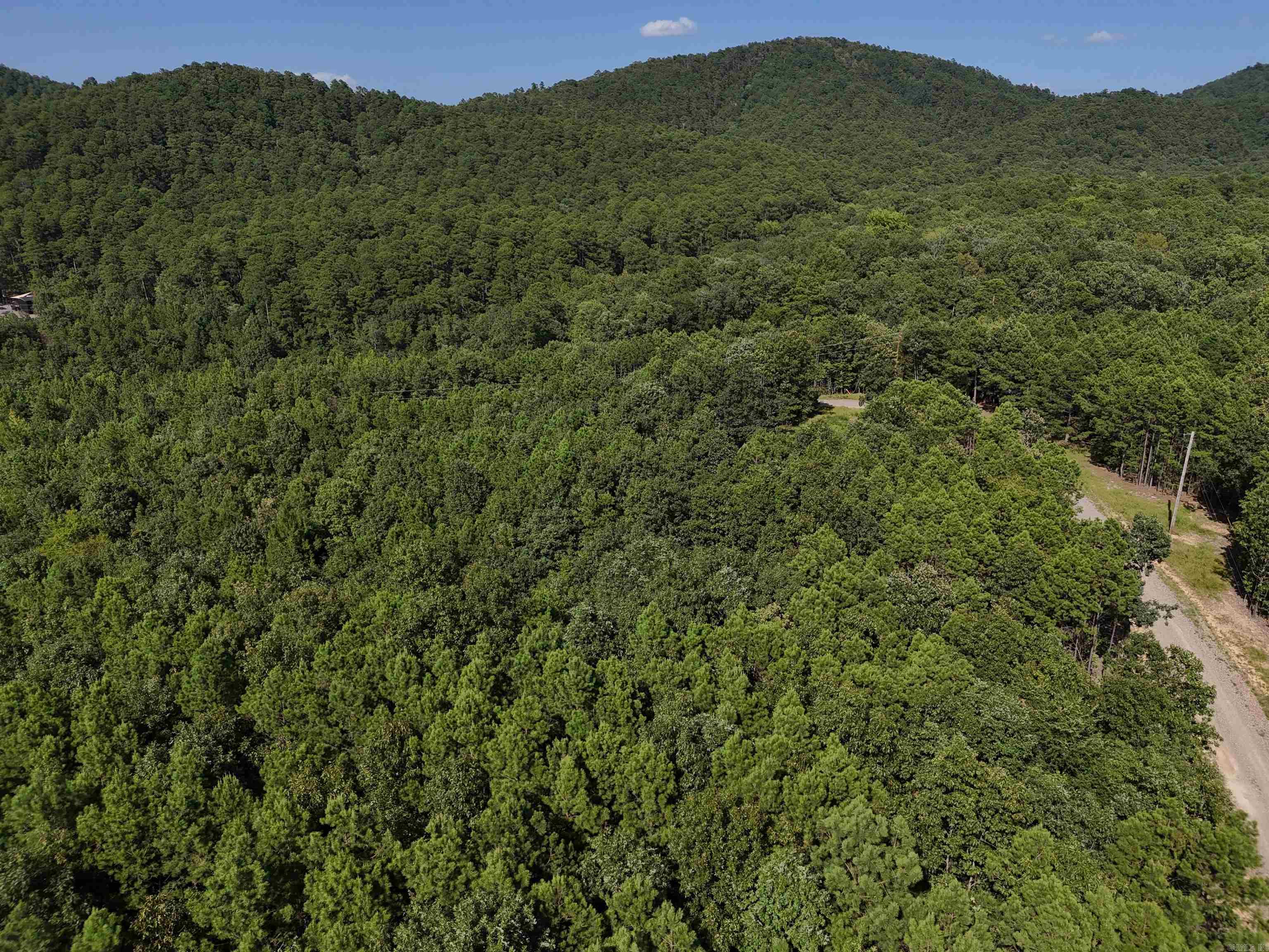 Lot 12 Polk Road 78  Mena, AR