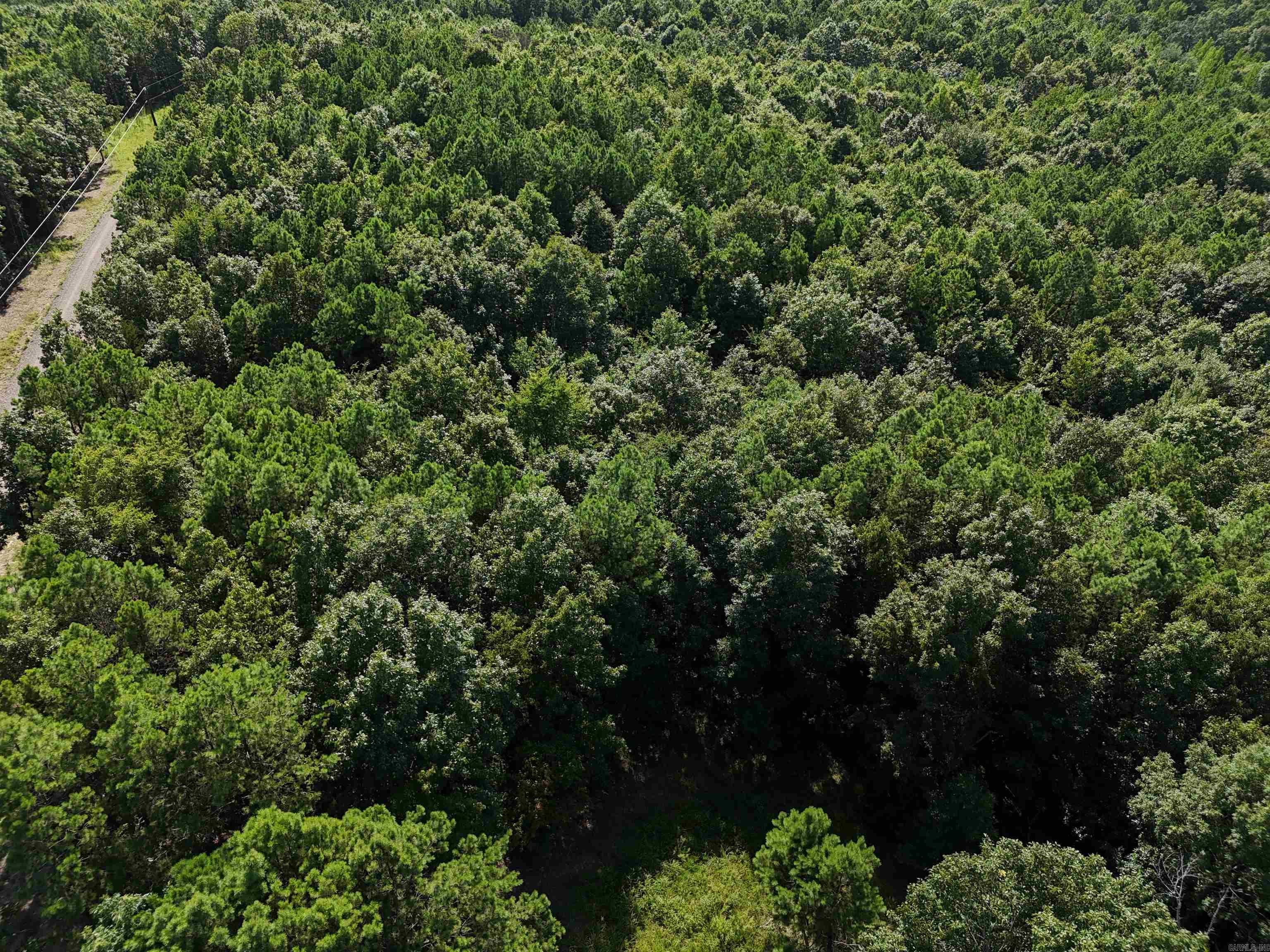 Lot 12 Polk Road 78  Mena, AR