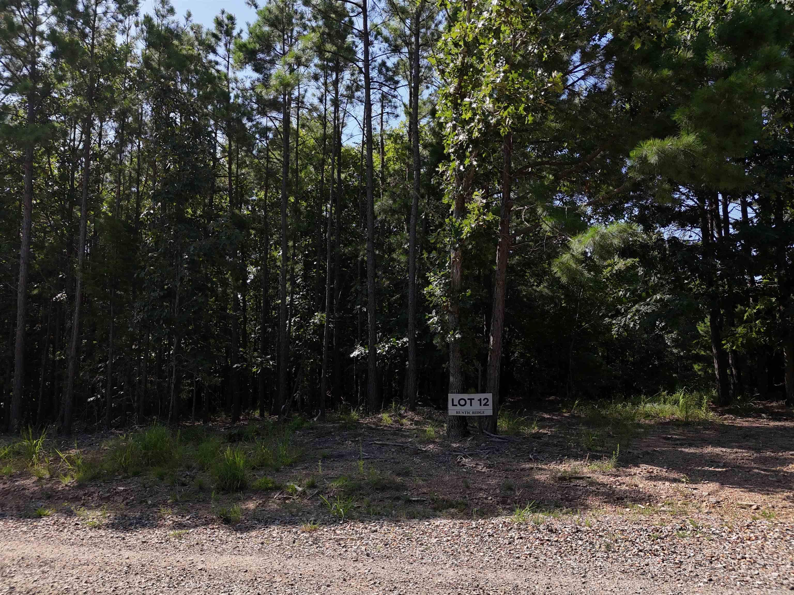Lot 12 Polk Road 78  Mena, AR