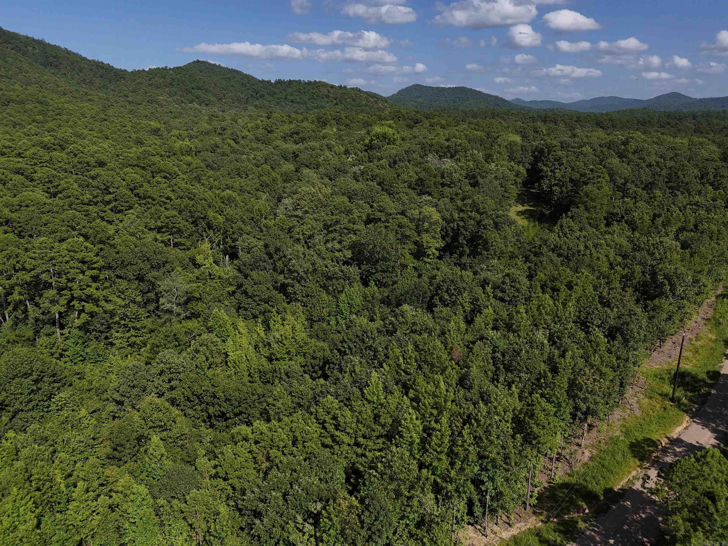 Lot 13 Polk Road 78  Mena, AR
