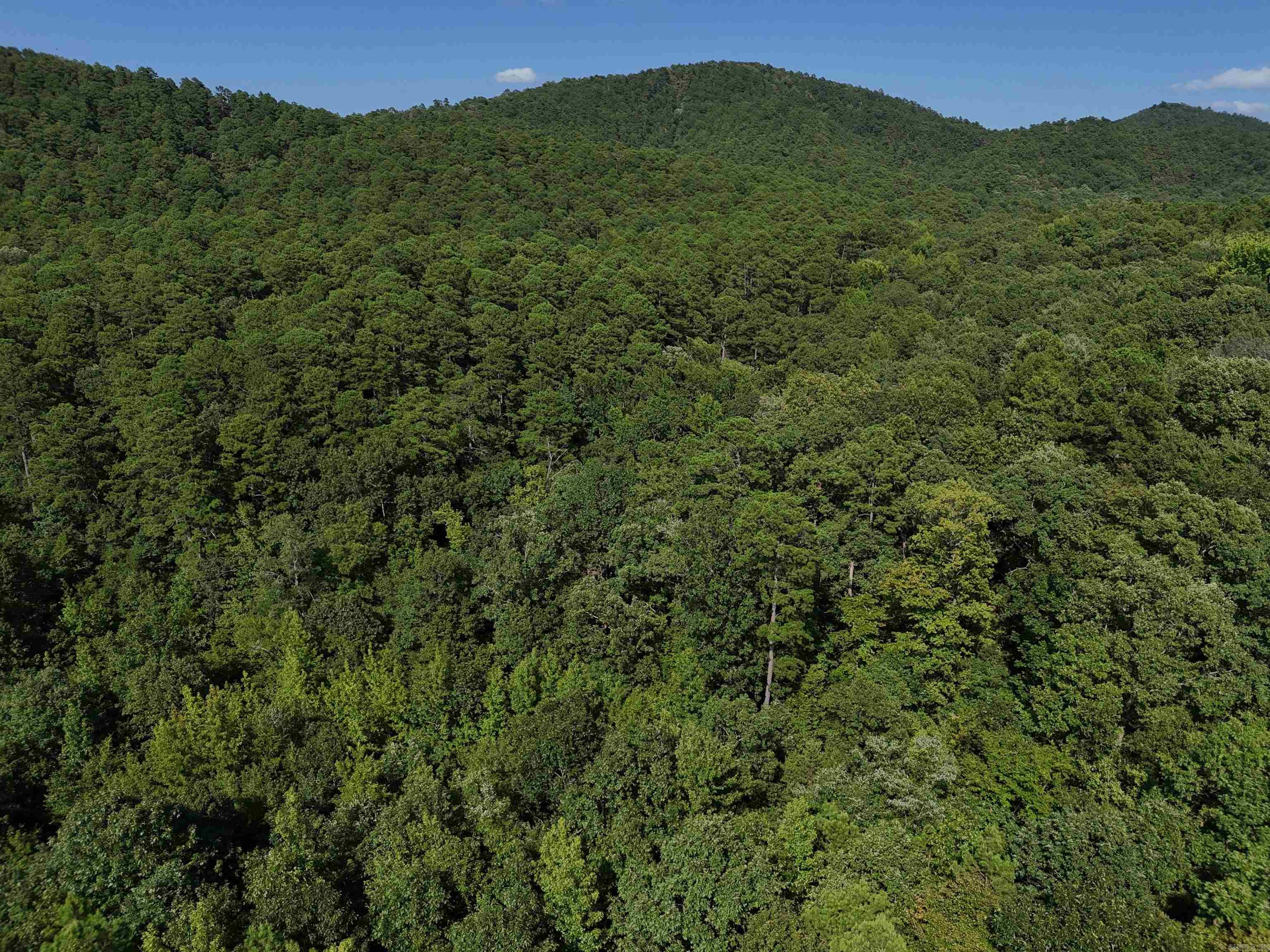 Lot 13 Polk Road 78  Mena, AR