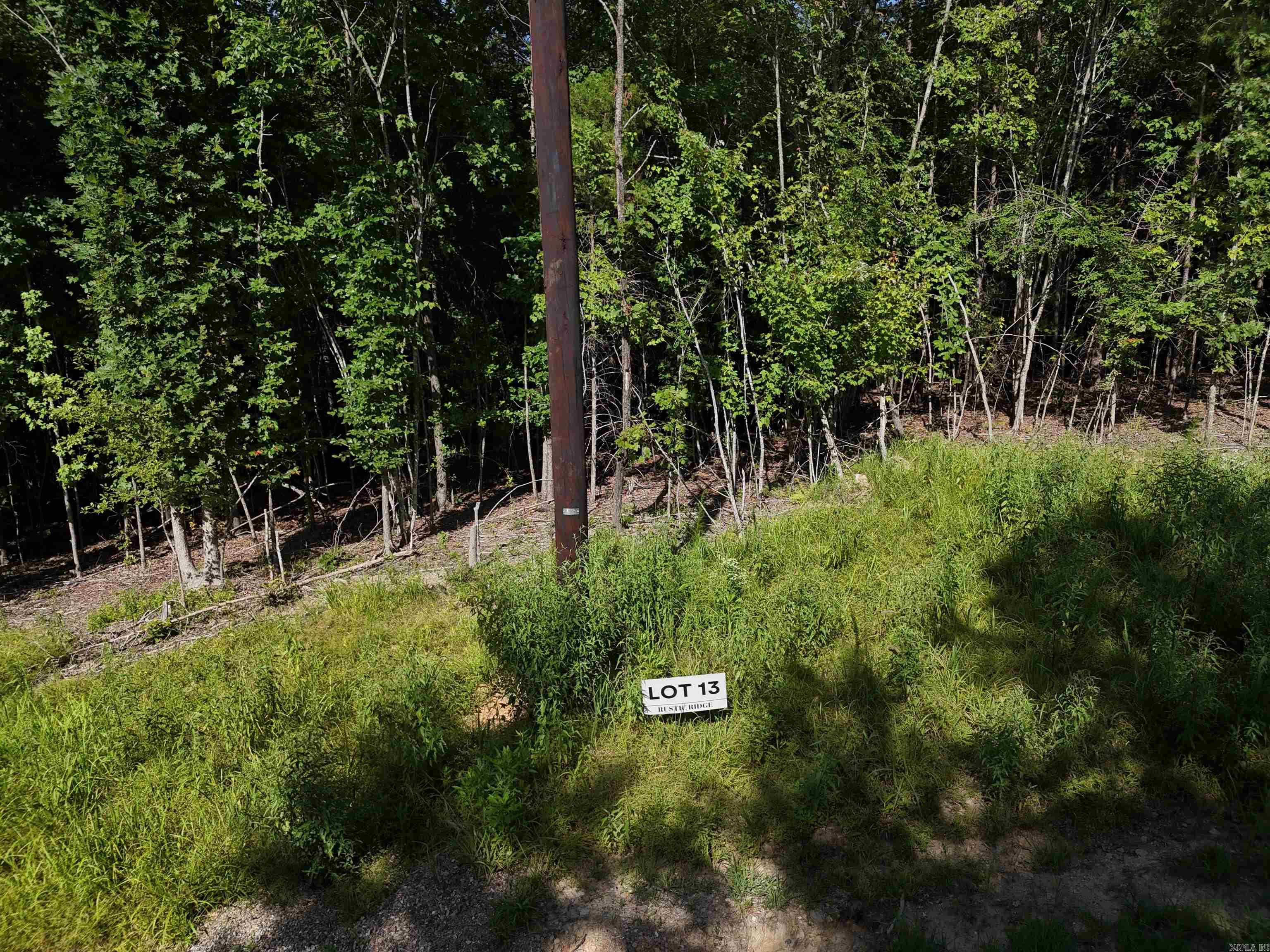 Lot 13 Polk Road 78  Mena, AR