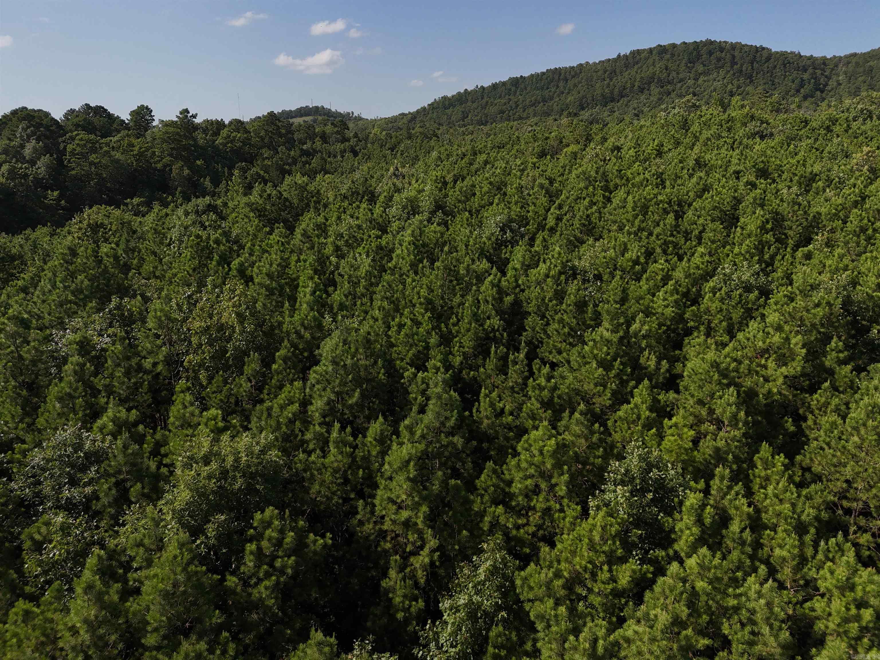Lot 14 Polk Road 78  Mena, AR