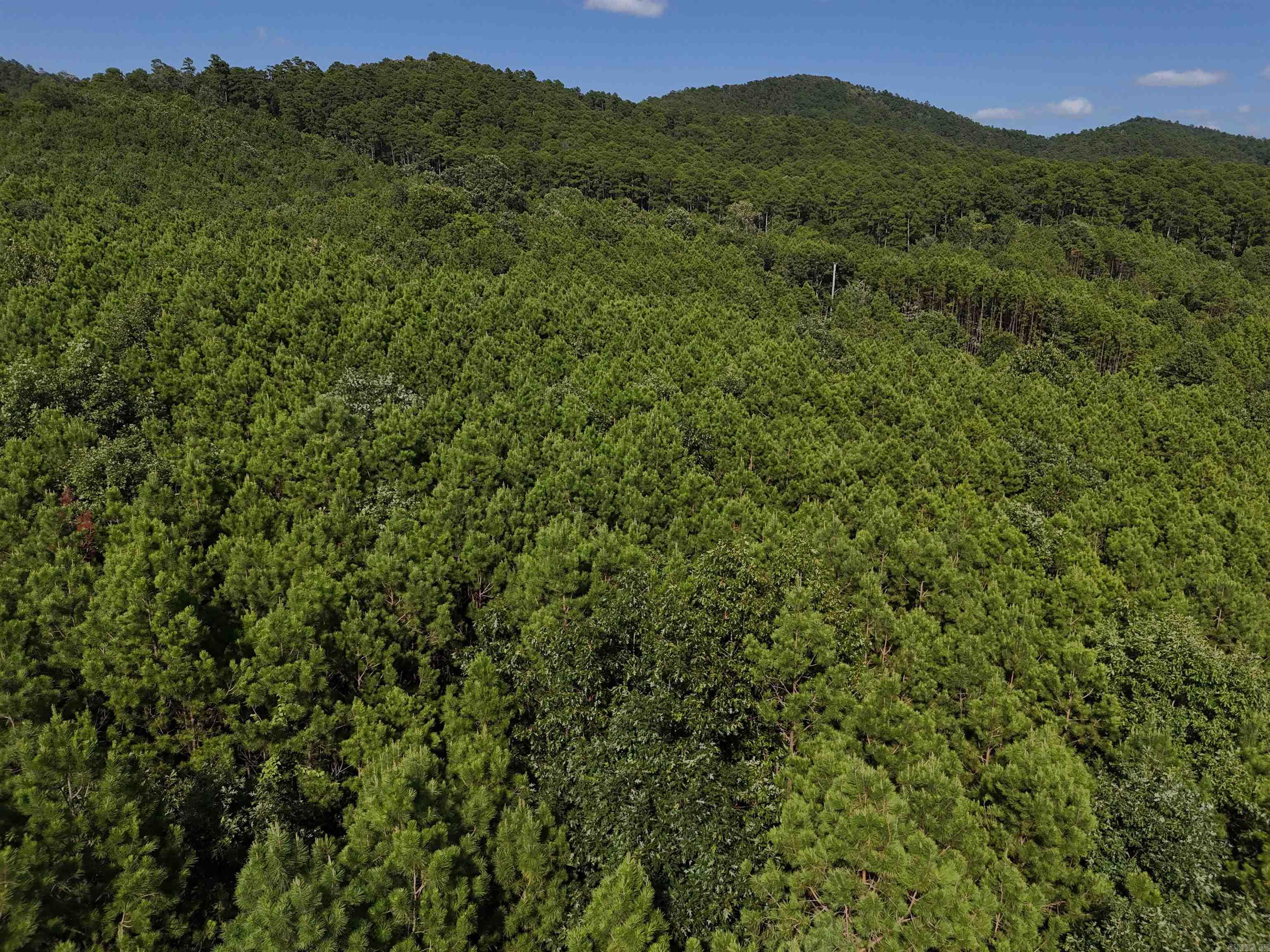 Lot 14 Polk Road 78  Mena, AR