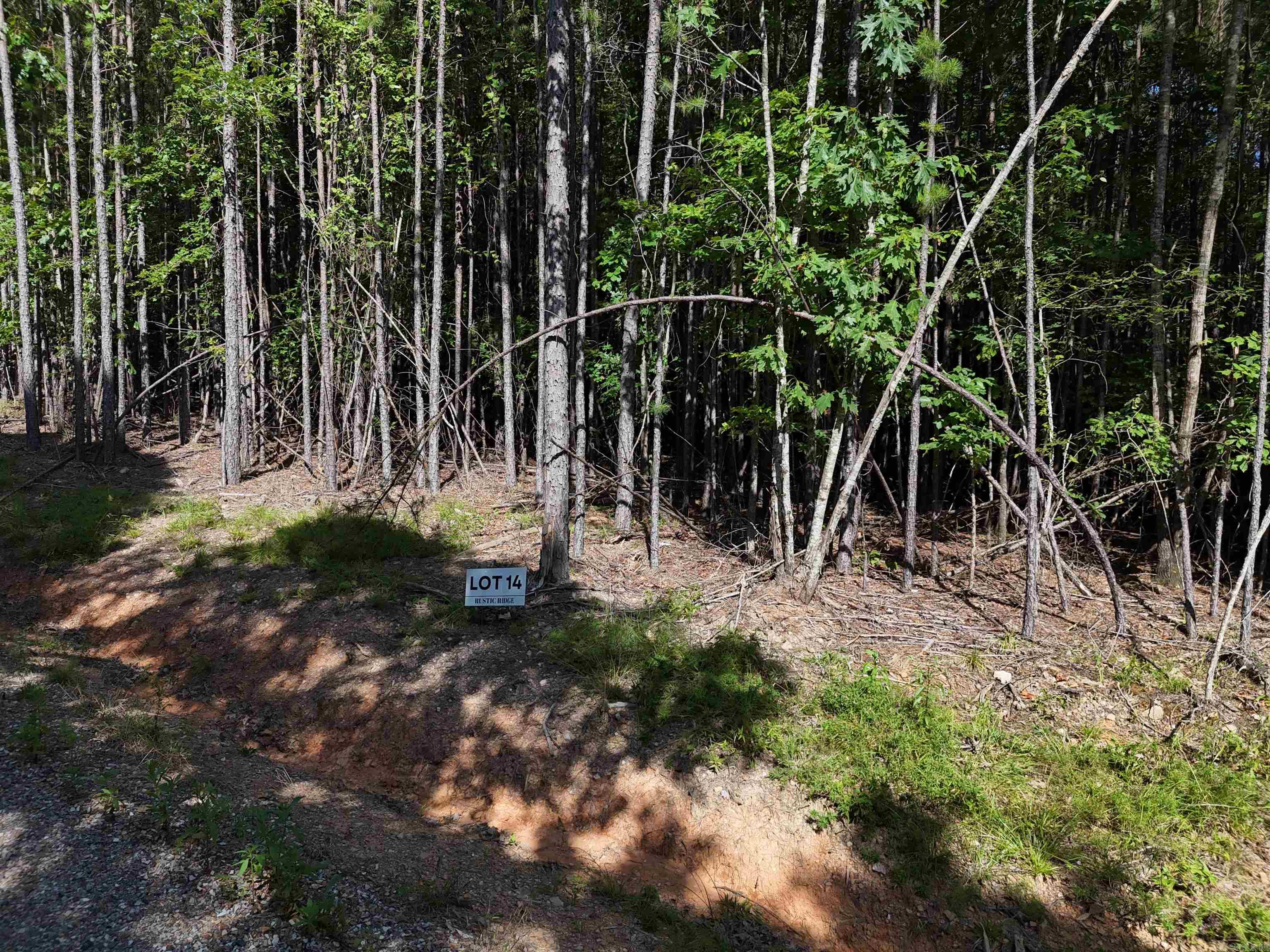 Lot 14 Polk Road 78  Mena, AR