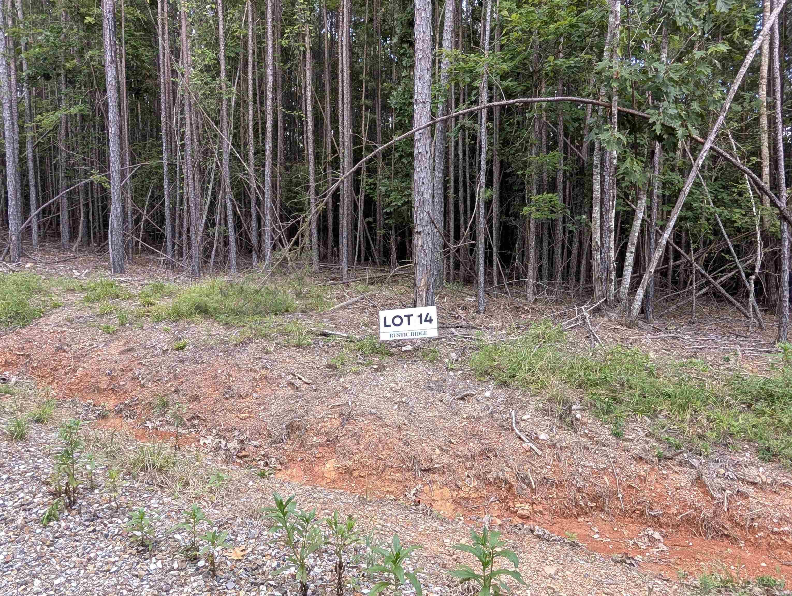 Lot 14 Polk Road 78  Mena, AR