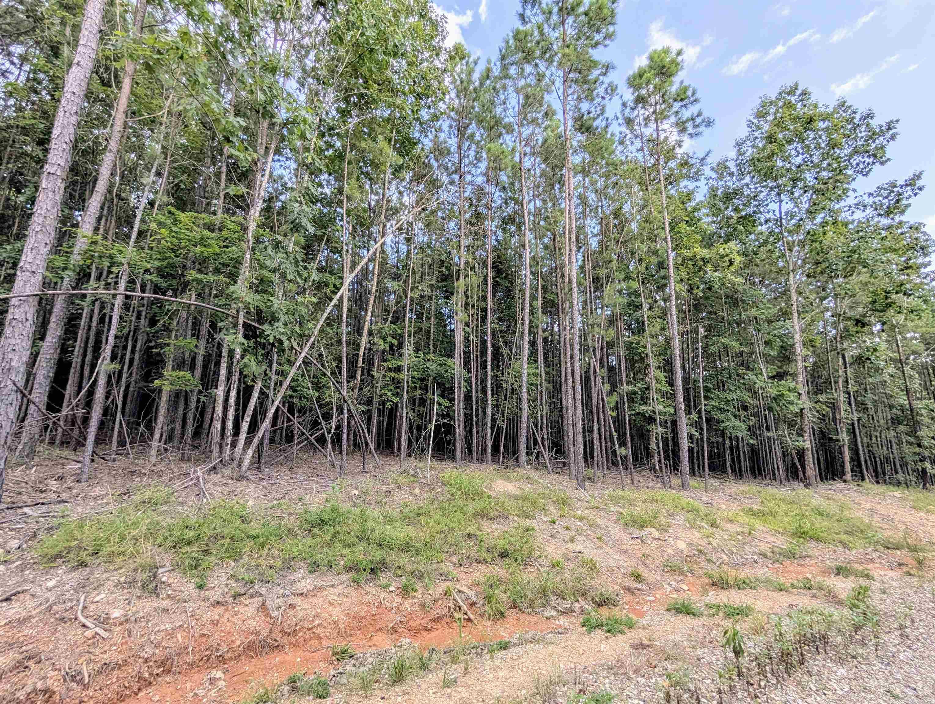 Lot 14 Polk Road 78  Mena, AR