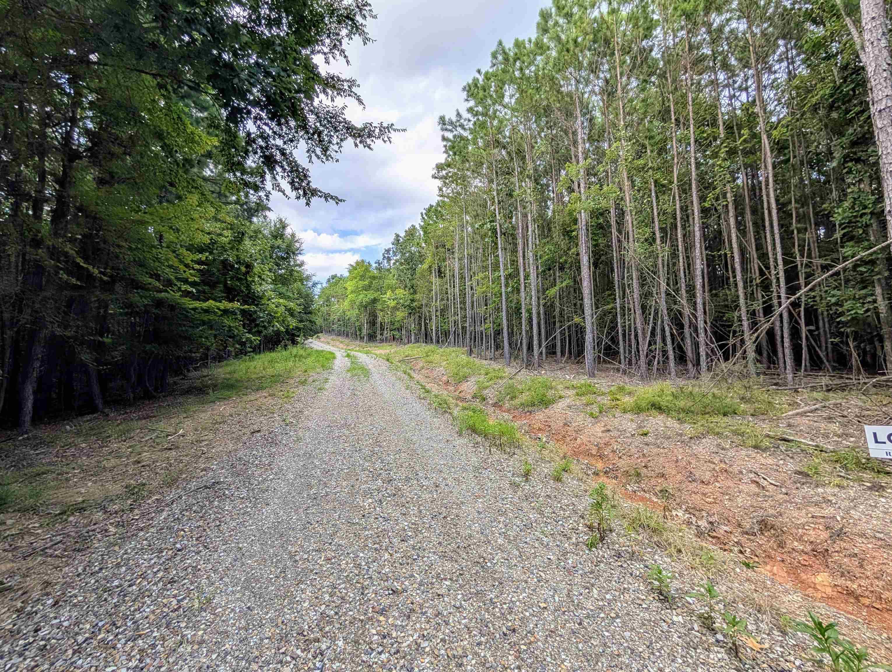 Lot 14 Polk Road 78  Mena, AR