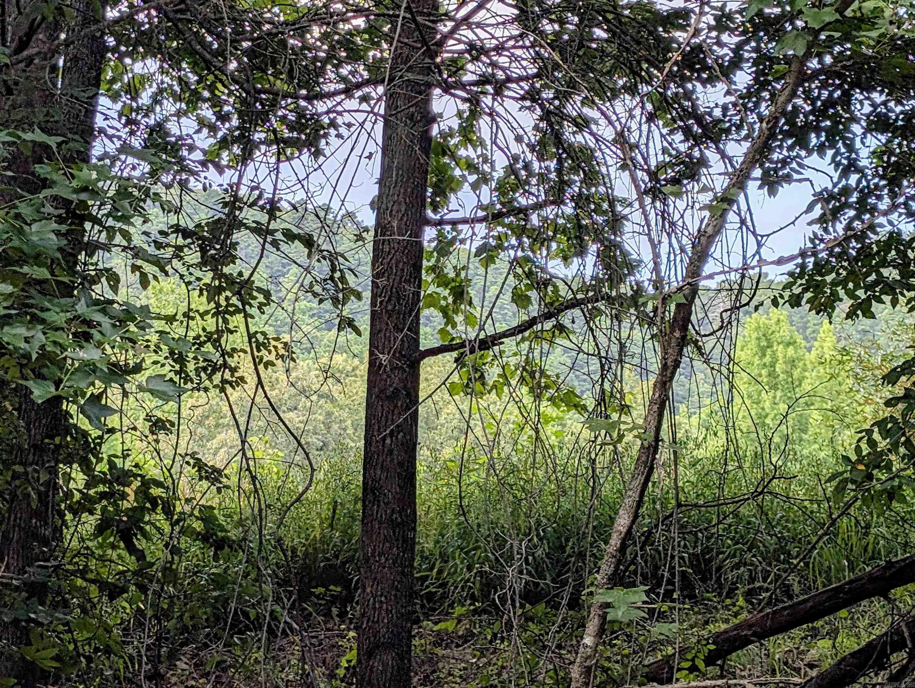 Lot 14 Polk Road 78  Mena, AR