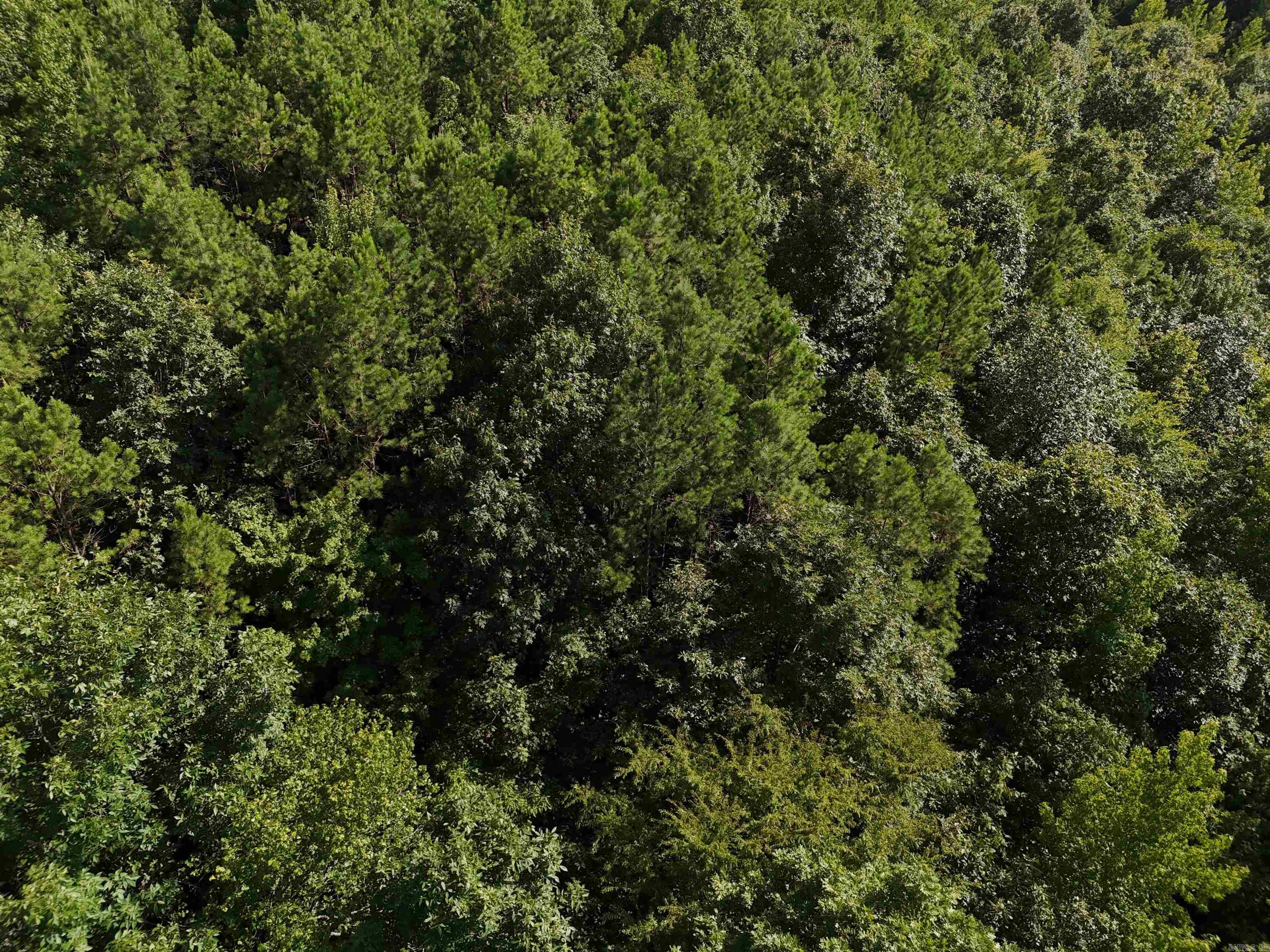 Lot 17 Polk Road 78  Mena, AR