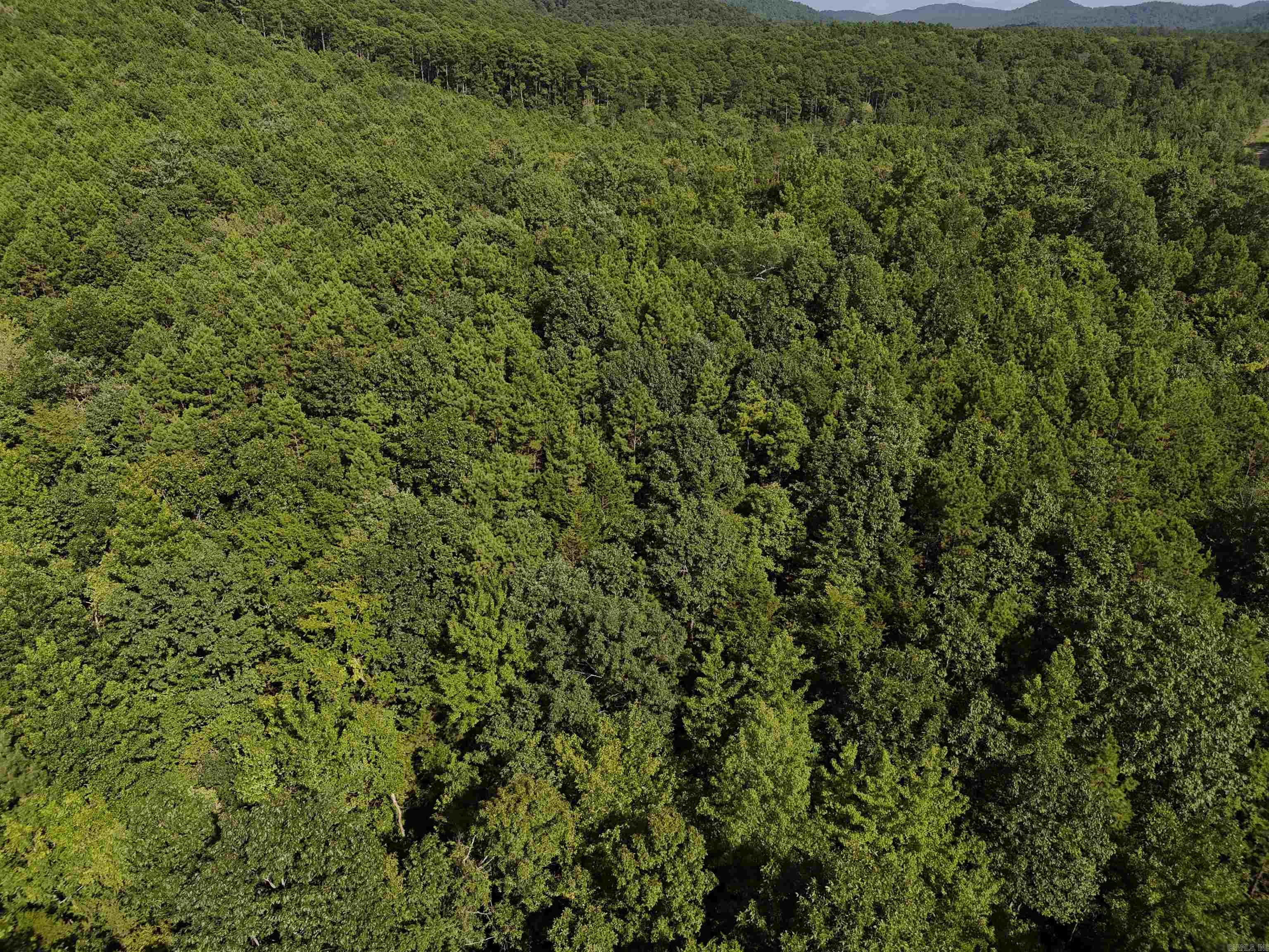 Lot 17 Polk Road 78  Mena, AR