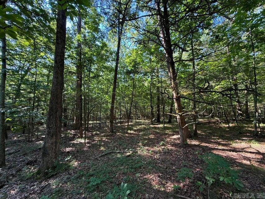 0 Mountain Ridge  Batesville, AR