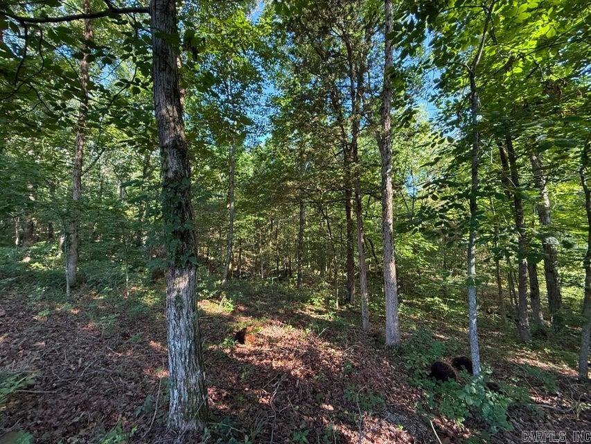 0 Mountain Ridge  Batesville, AR