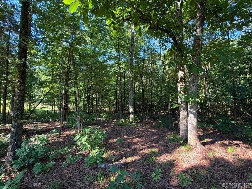 0 Mountain Ridge  Batesville, AR