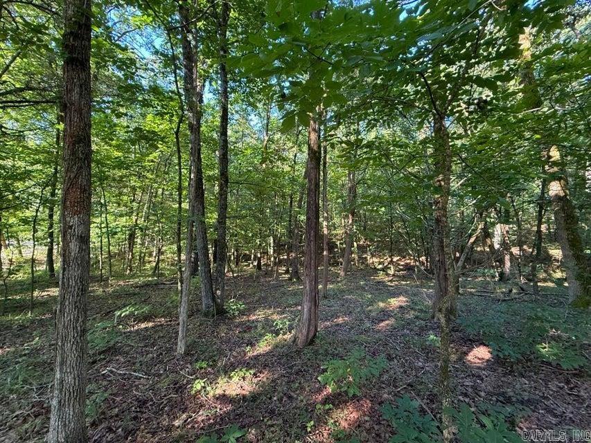 0 Mountain Ridge  Batesville, AR