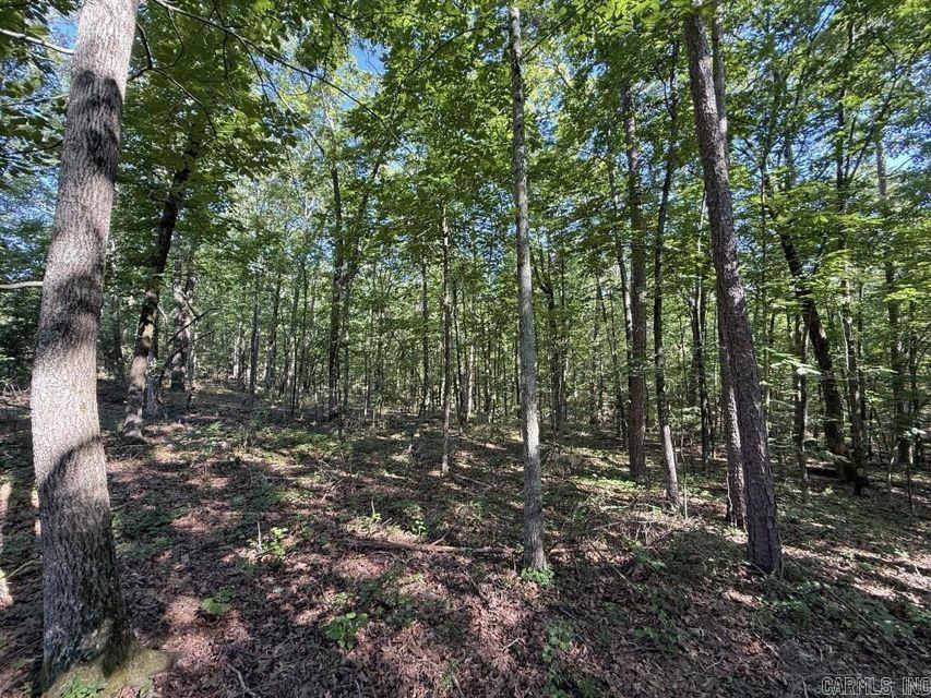 0 Mountain Ridge  Batesville, AR