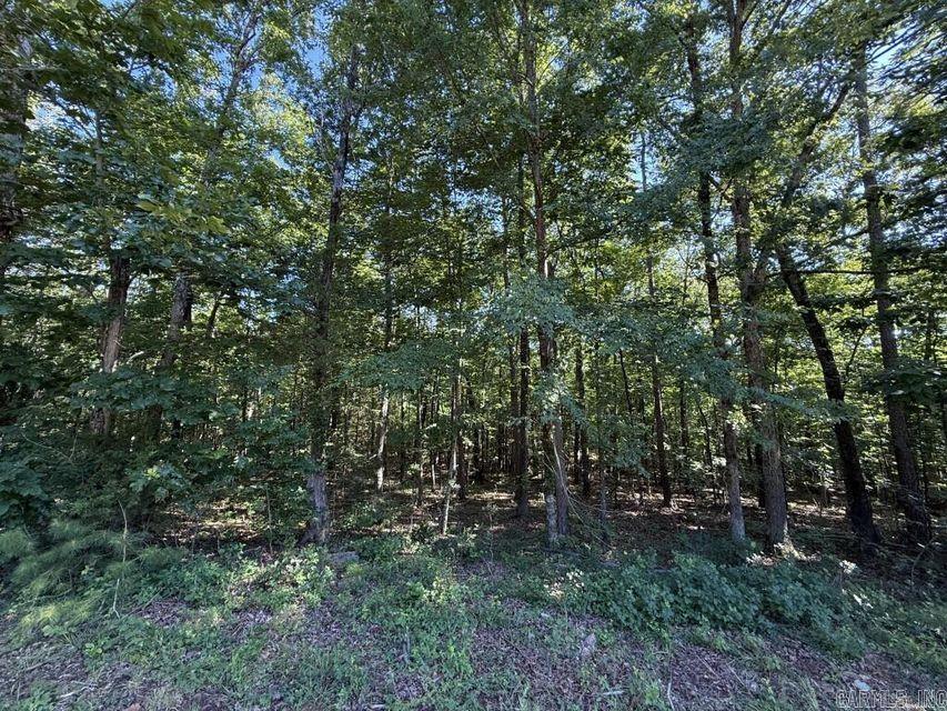 0 Mountain Ridge  Batesville, AR