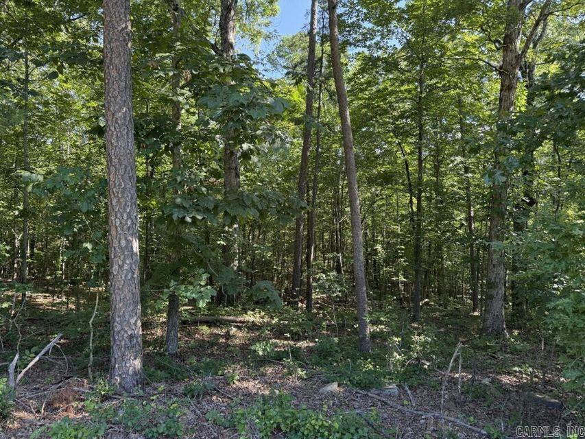 0 Mountain Ridge  Batesville, AR