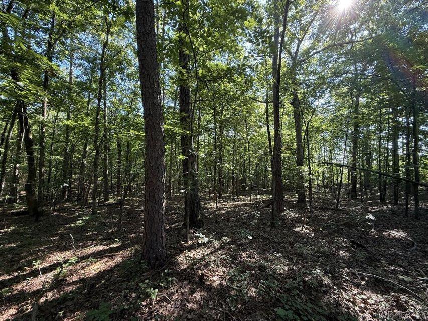 0 Mountain Ridge  Batesville, AR