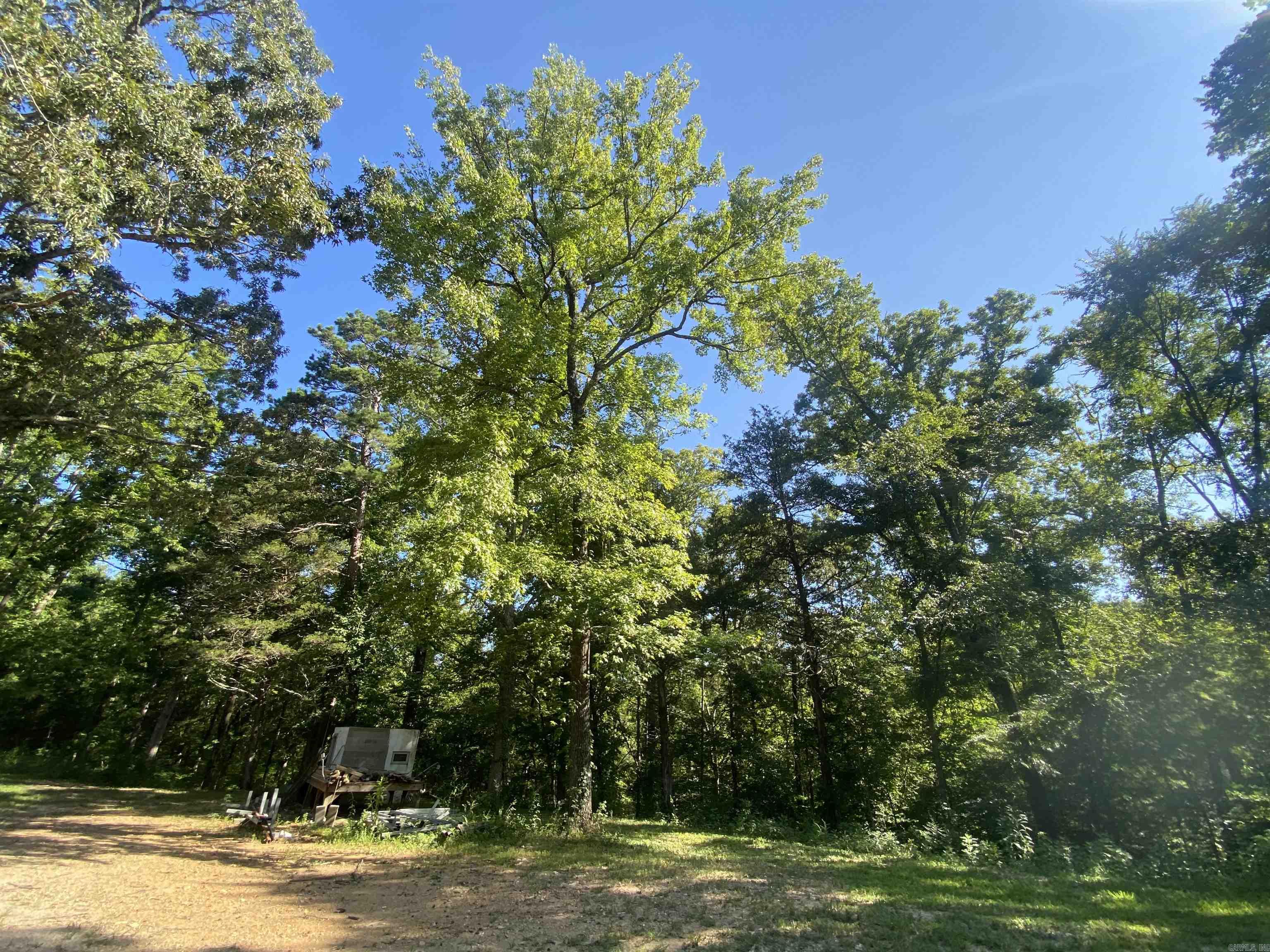 42 Dusty  Story, AR