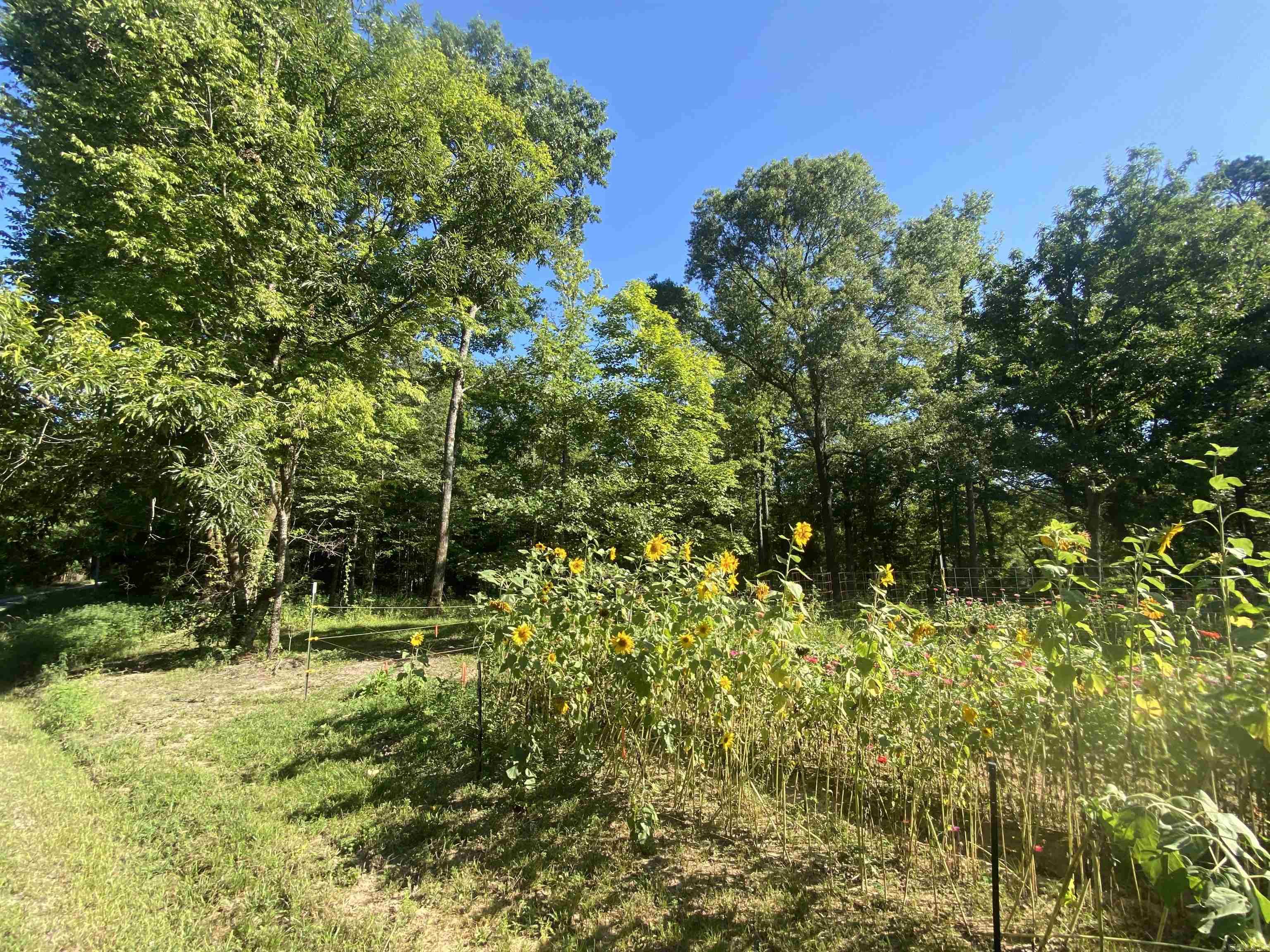 42 Dusty  Story, AR