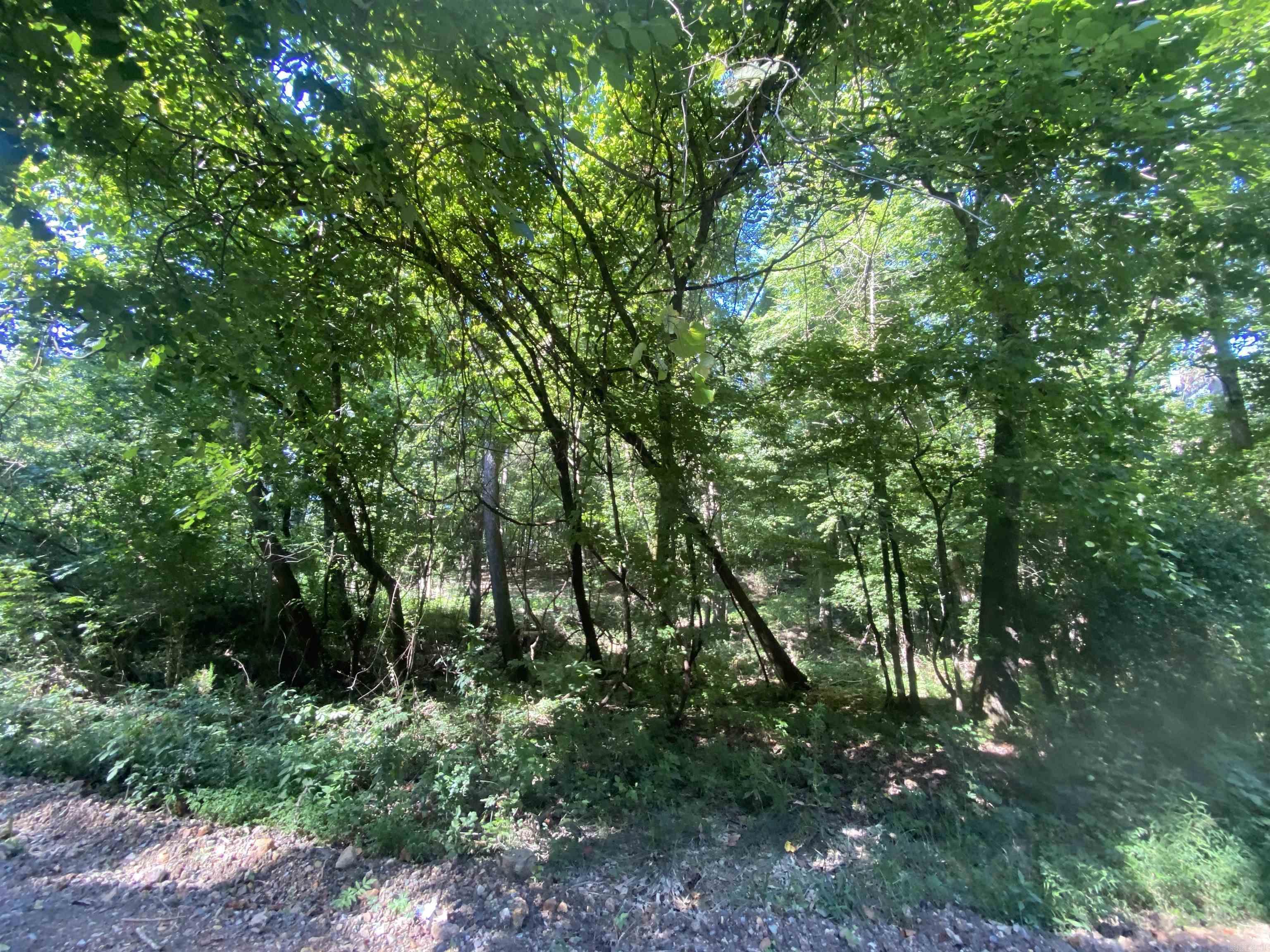 42 Dusty  Story, AR