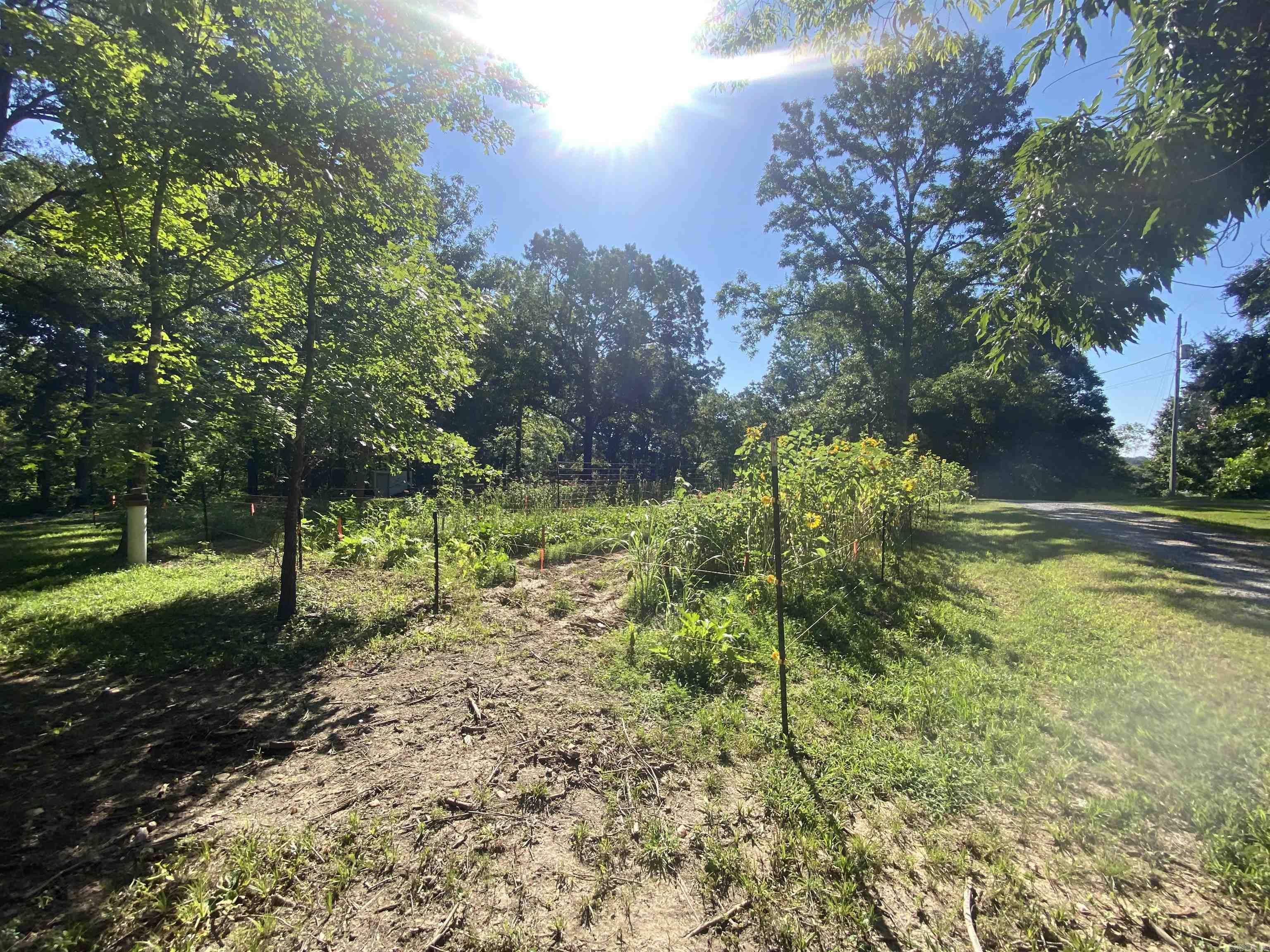 42 Dusty  Story, AR