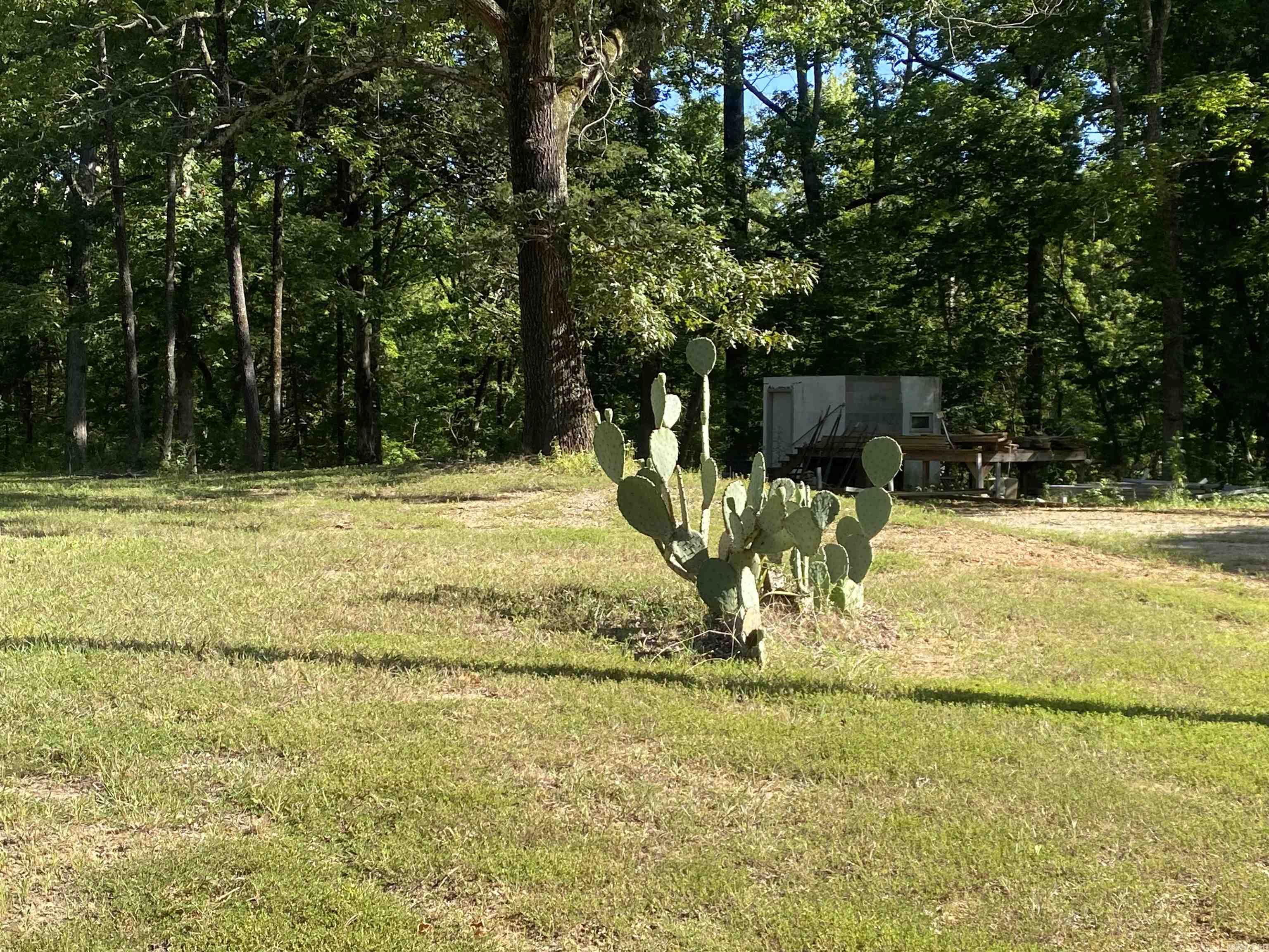 42 Dusty  Story, AR
