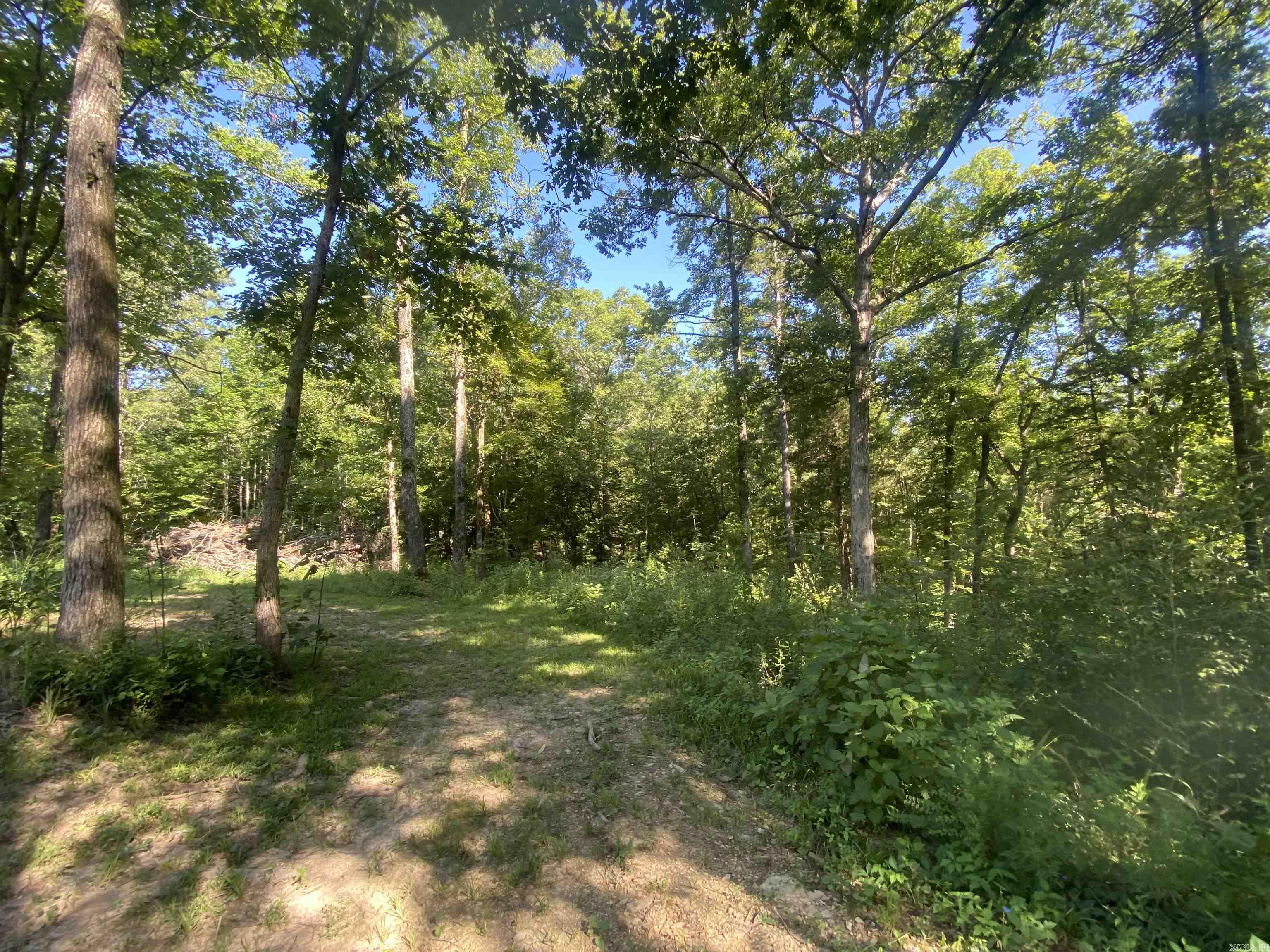 42 Dusty  Story, AR