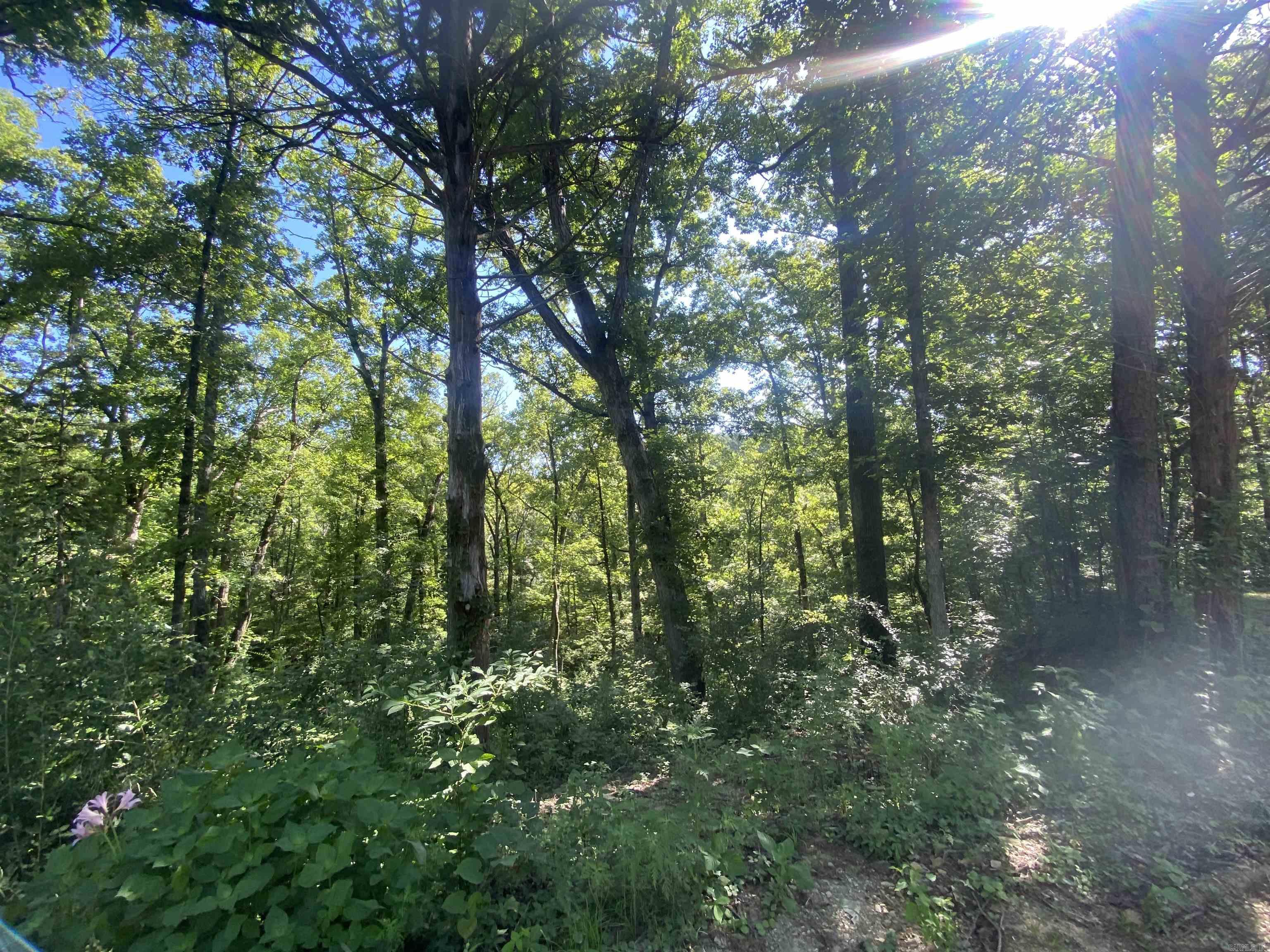 42 Dusty  Story, AR