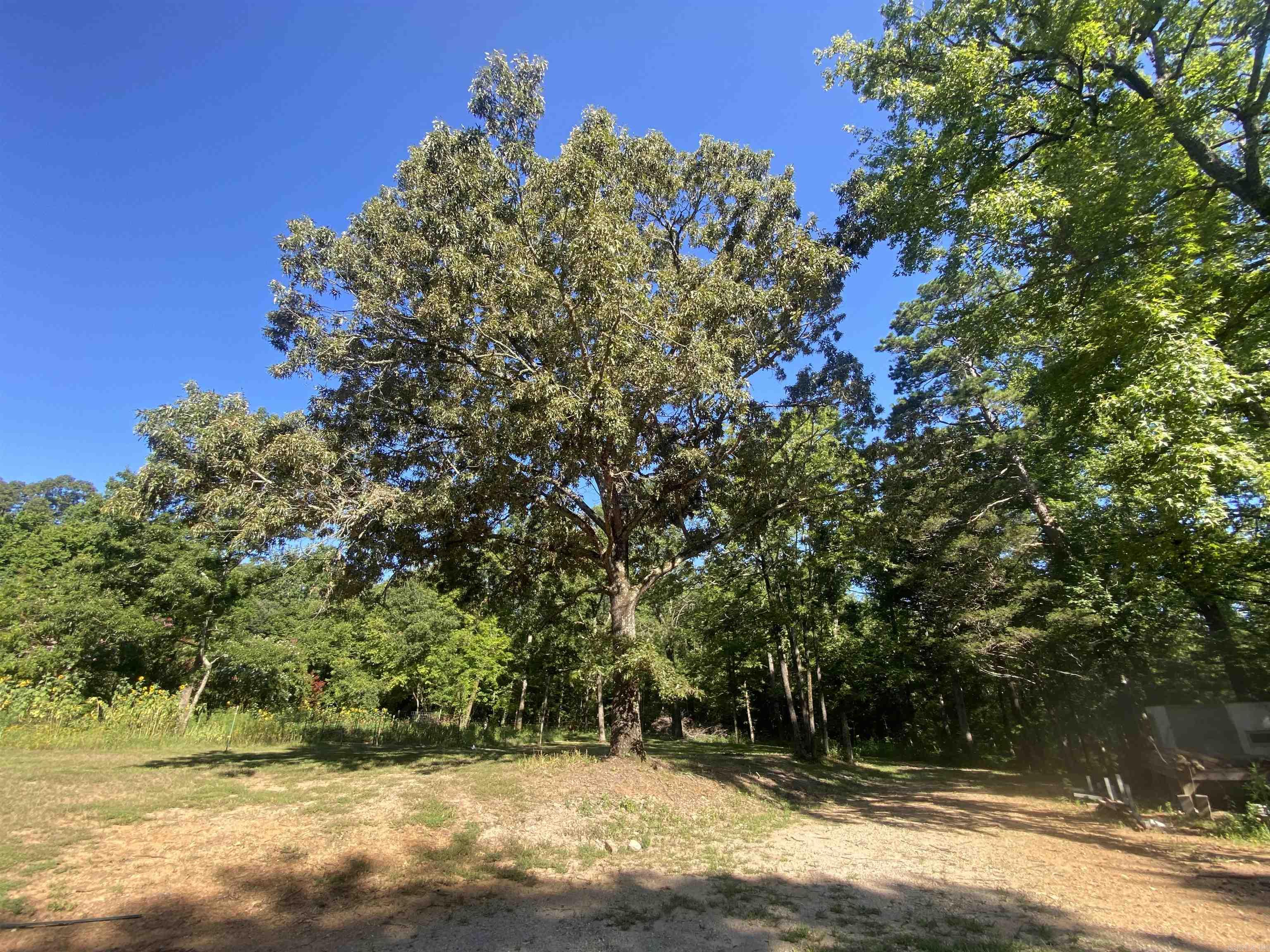42 Dusty  Story, AR