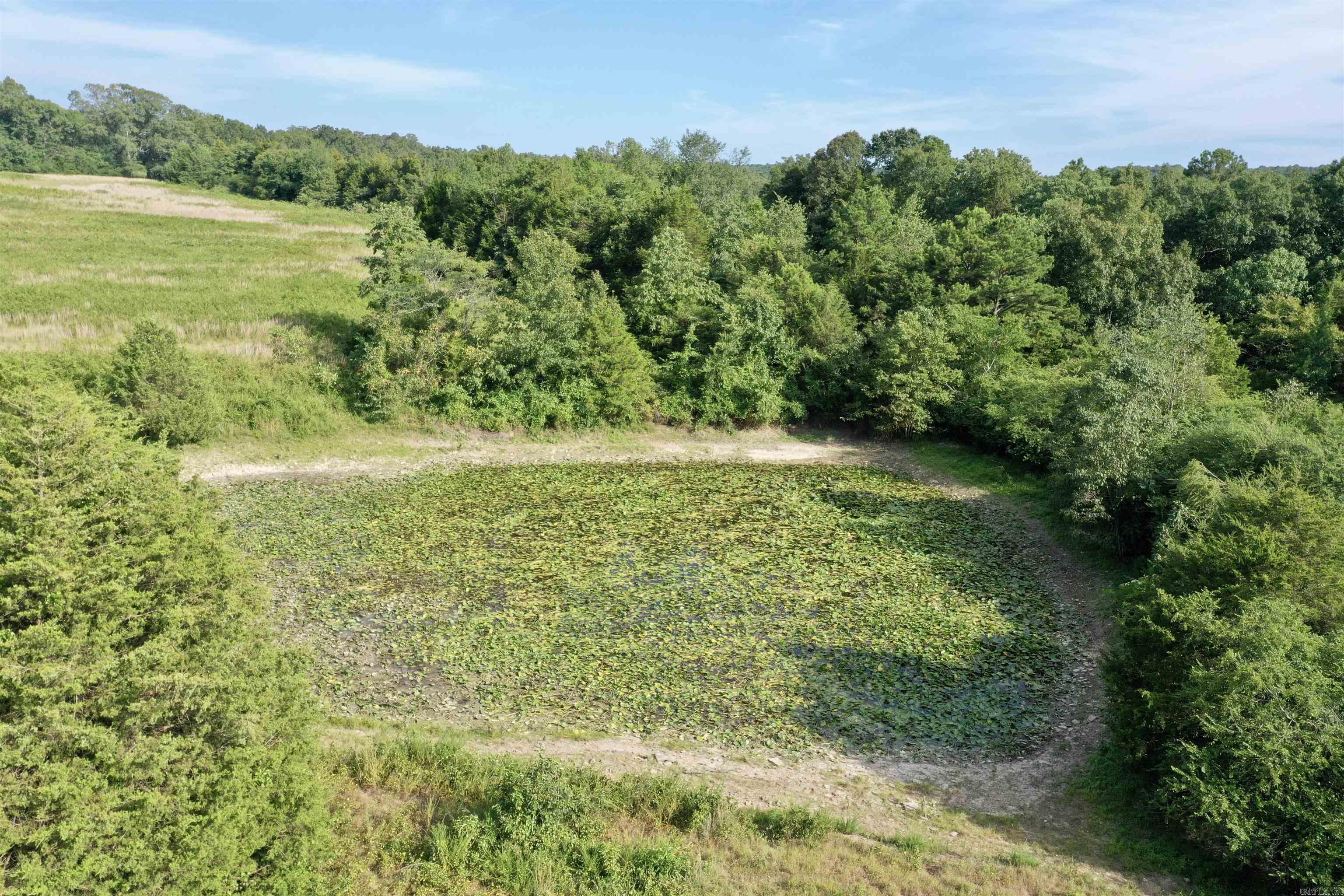 0001 Ridge 115 Ridge Road Heber Springs, AR
