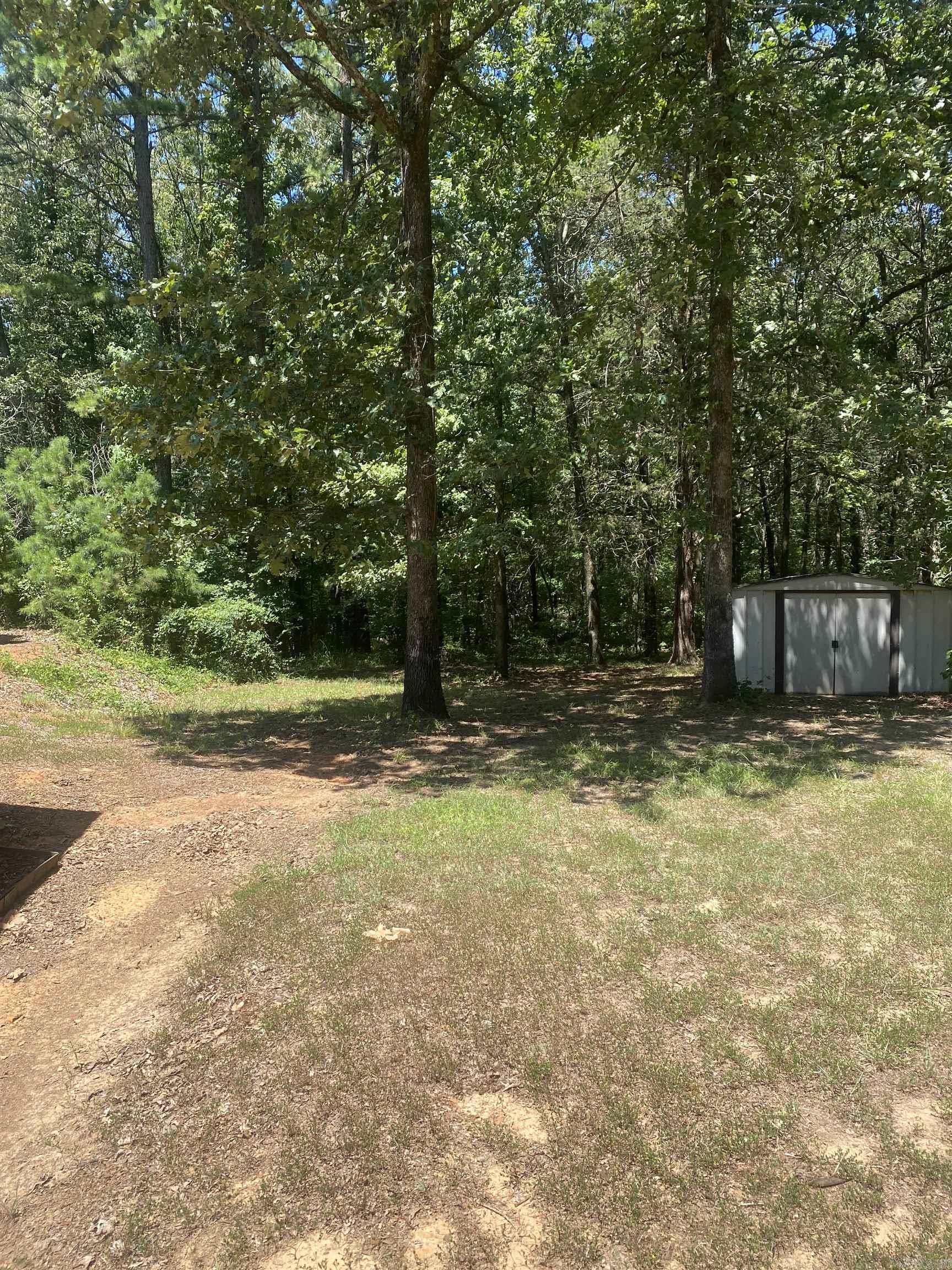 335 Bethel Ame  Bigelow, AR