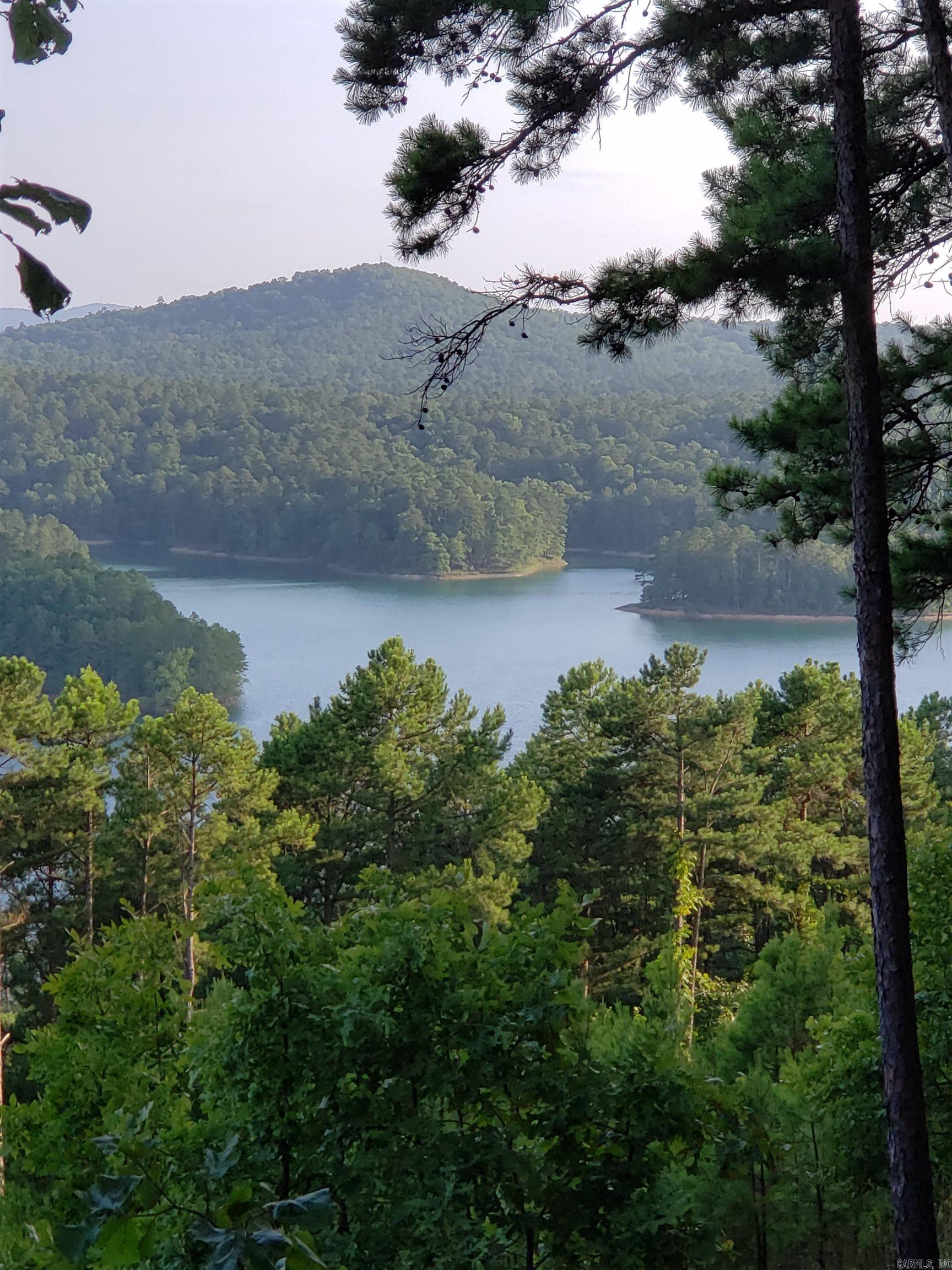 56 Biarritz  Hot Springs Village, AR