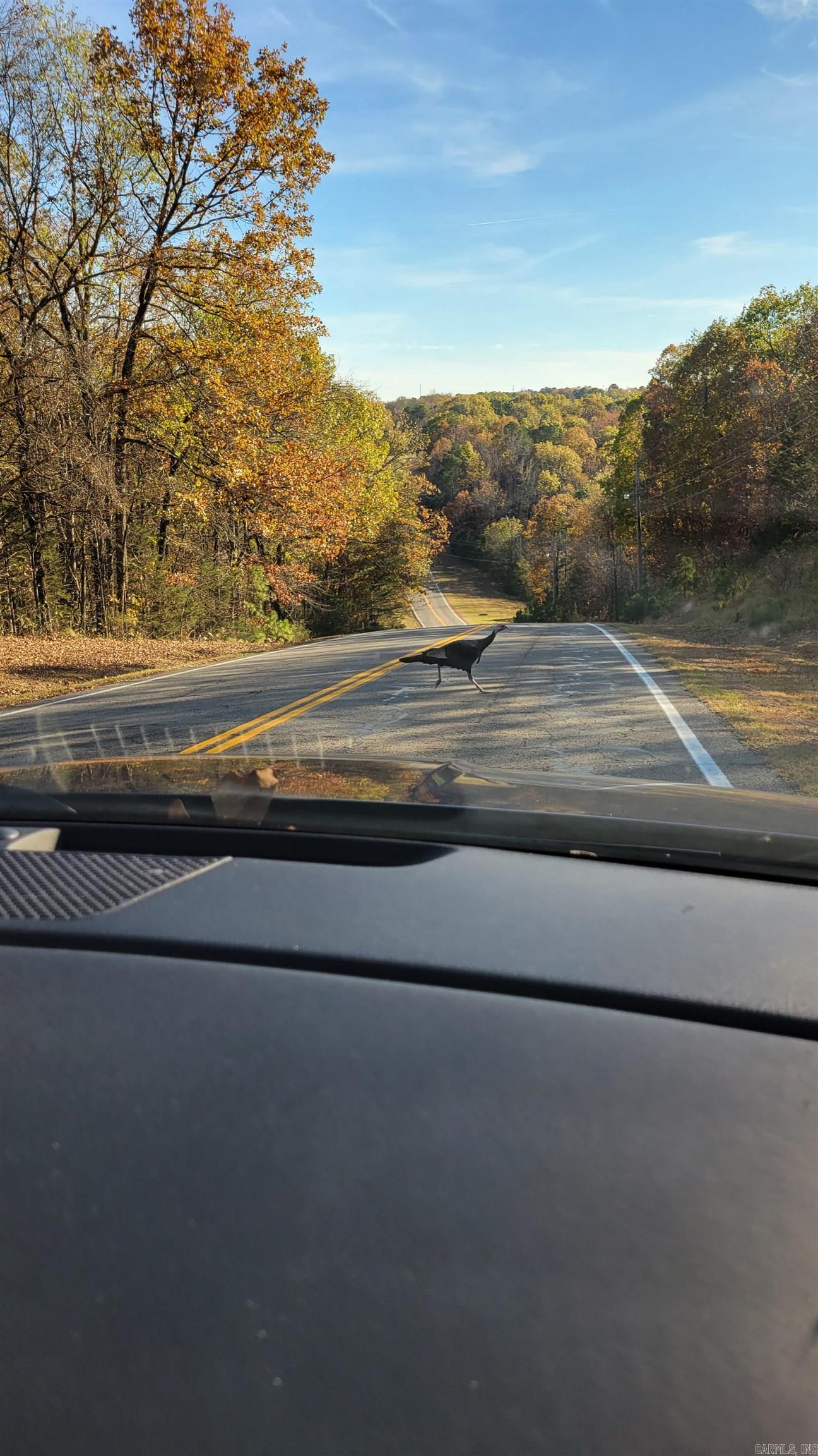 1285 Dave Creek Parkway  Fairfield Bay, AR