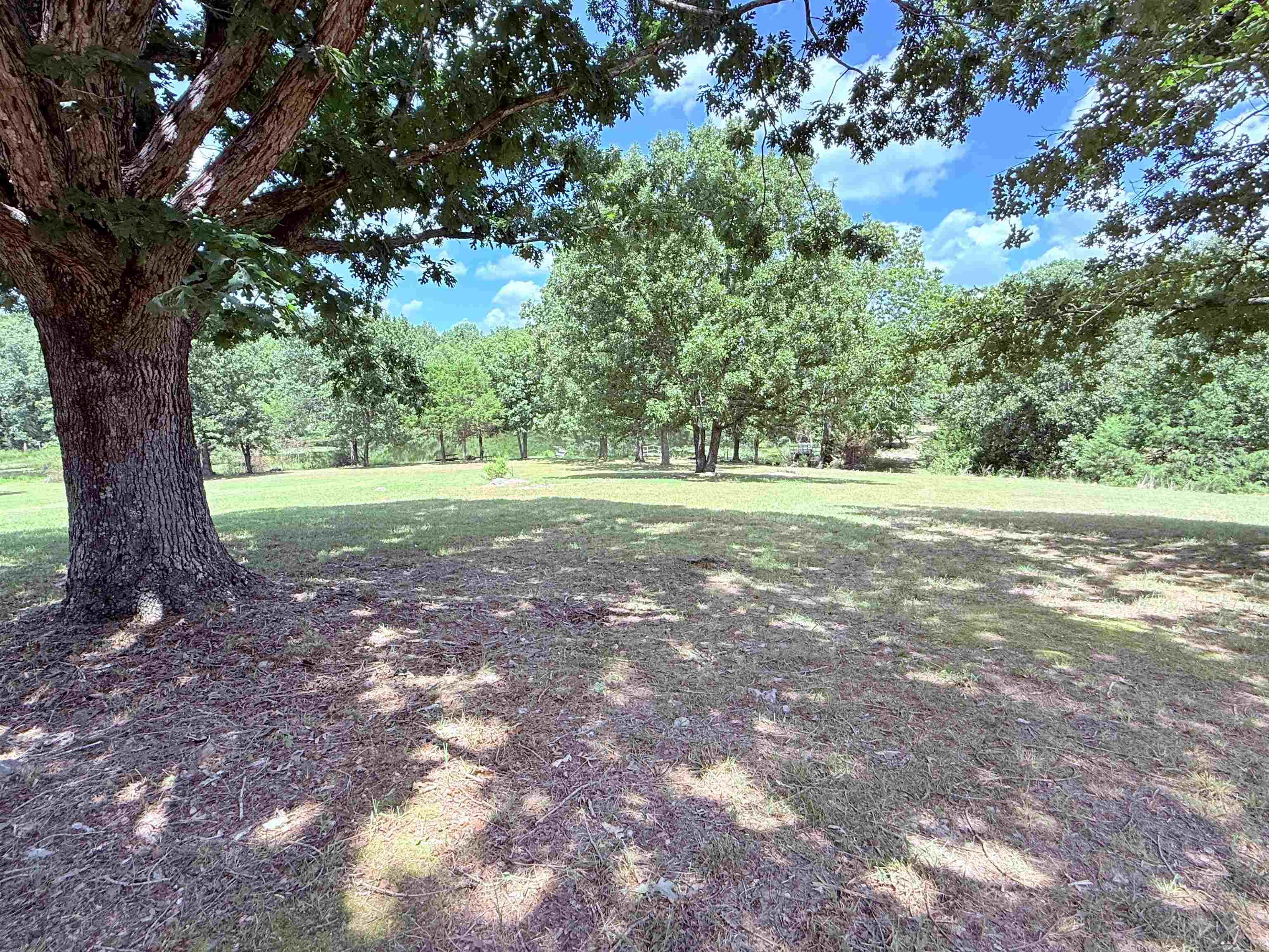 236 Cuz's Acres Lane  Salem, AR