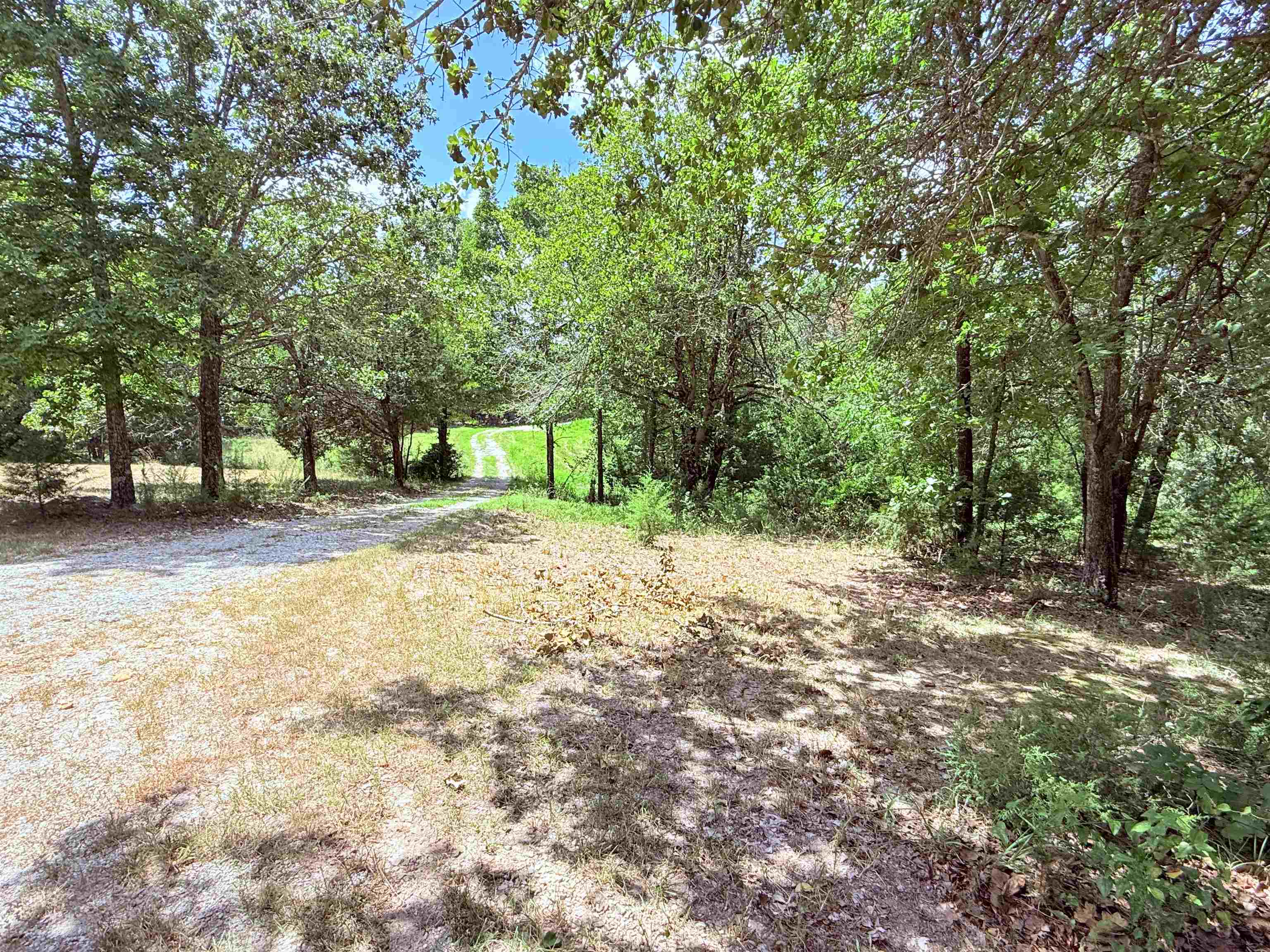 236 Cuz's Acres Lane  Salem, AR