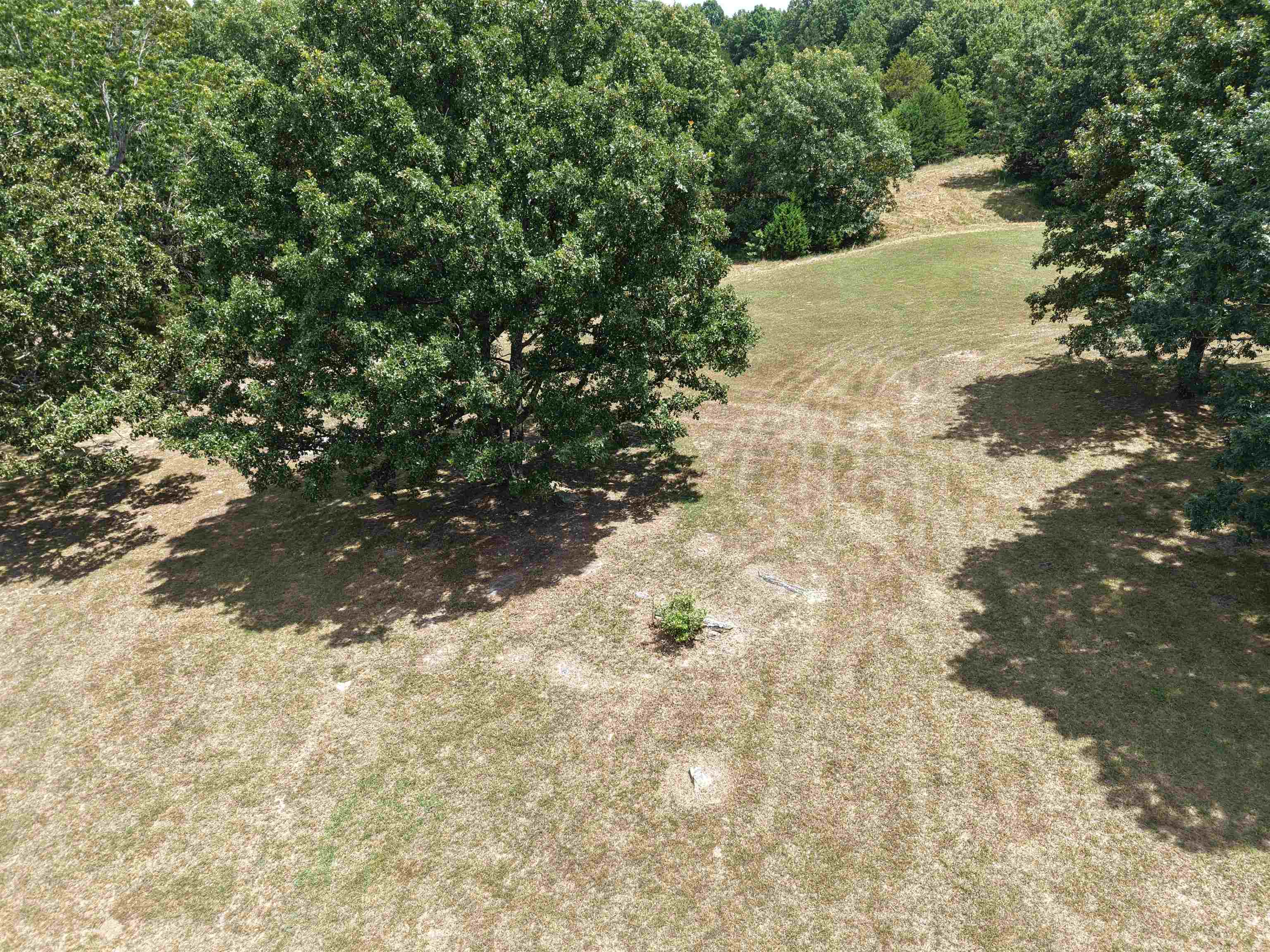 236 Cuz's Acres Lane  Salem, AR