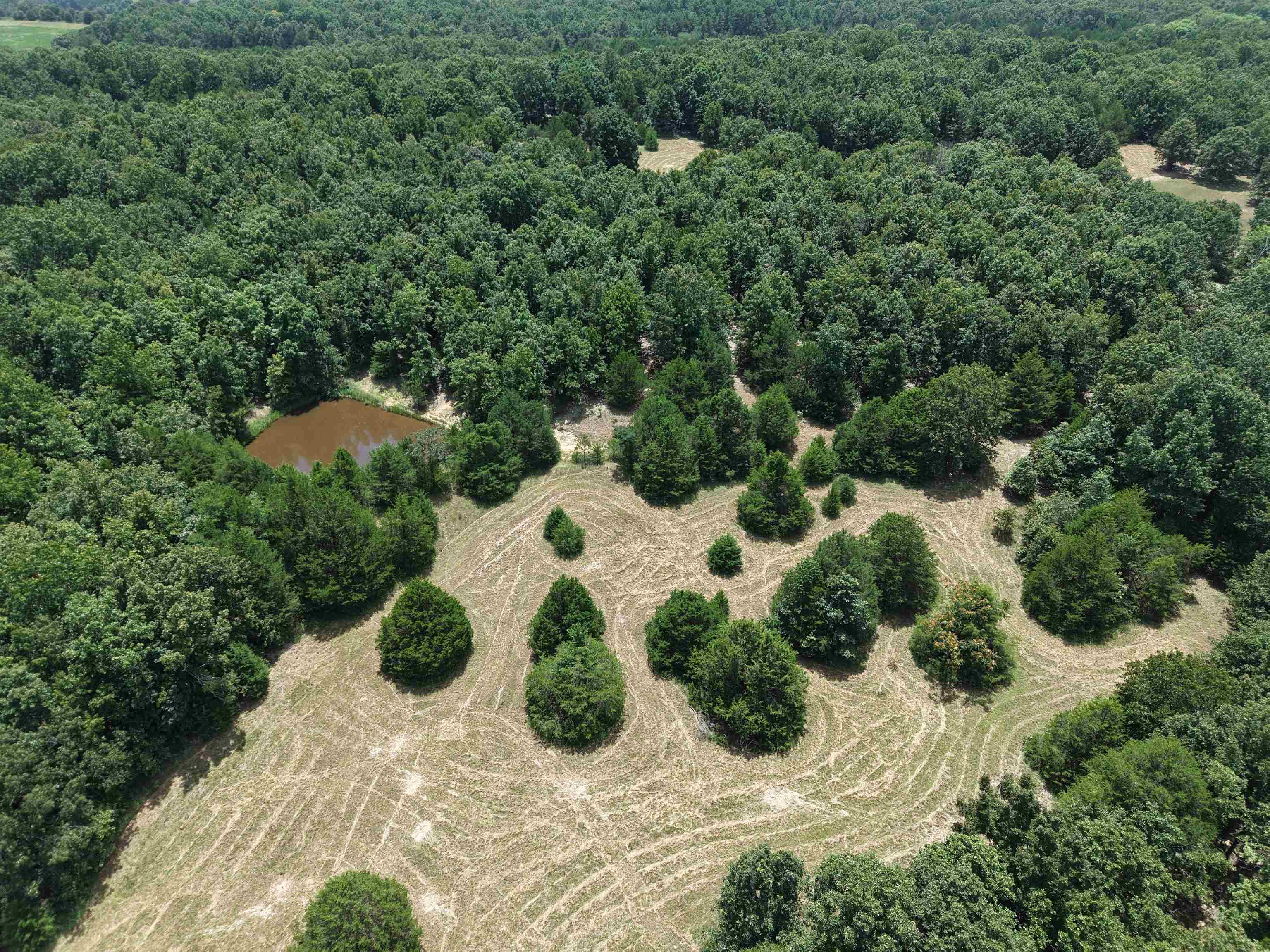 236 Cuz's Acres Lane  Salem, AR