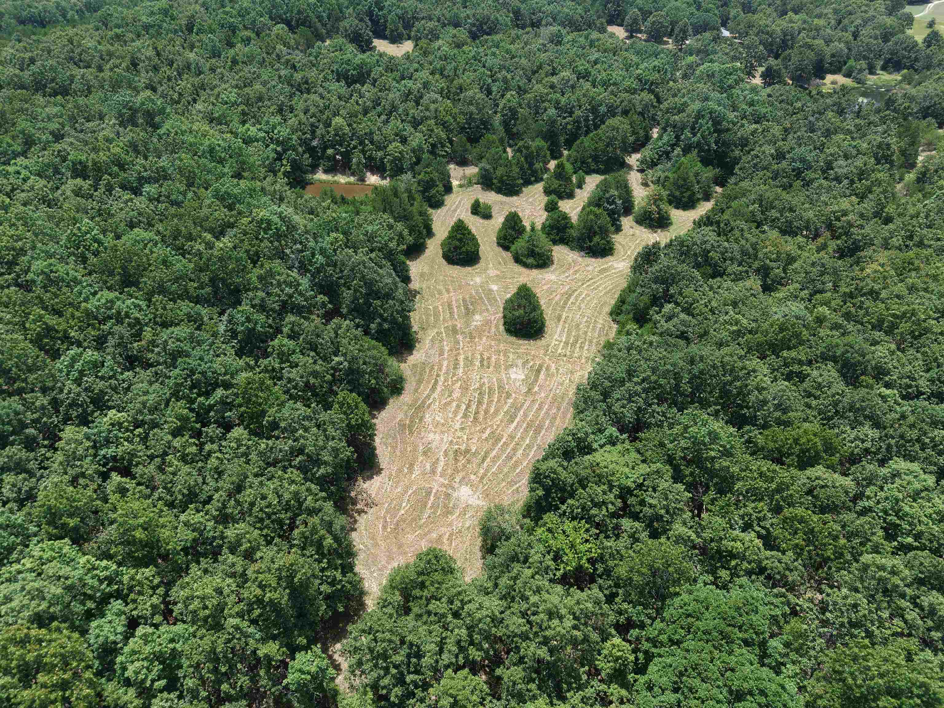 236 Cuz's Acres Lane  Salem, AR