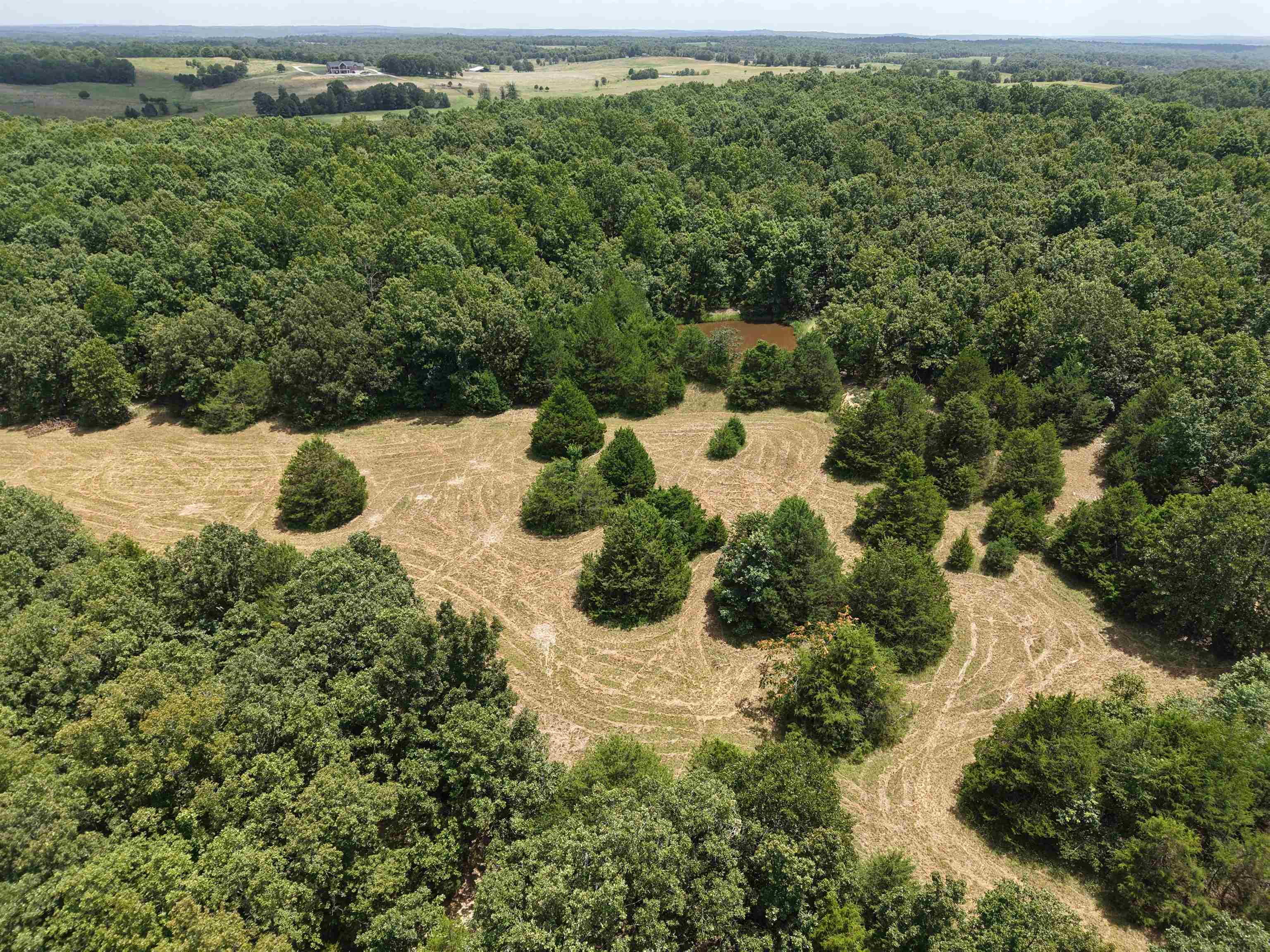 236 Cuz's Acres Lane  Salem, AR