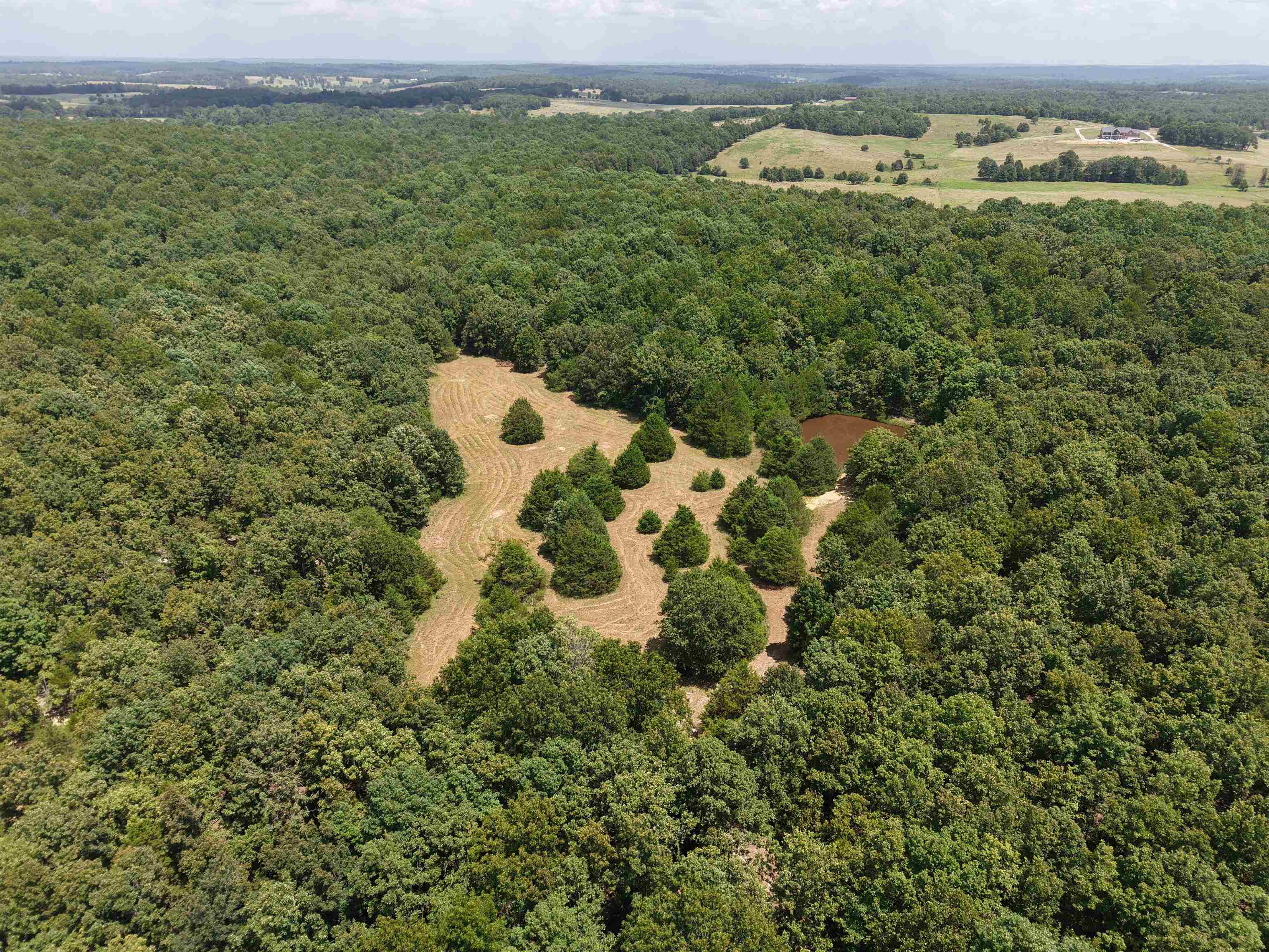236 Cuz's Acres Lane  Salem, AR