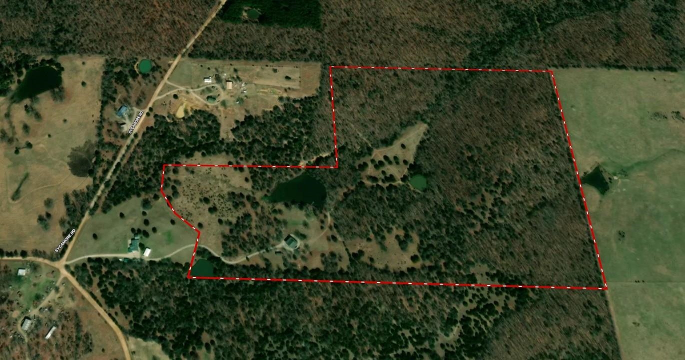 236 Cuz's Acres Lane  Salem, AR