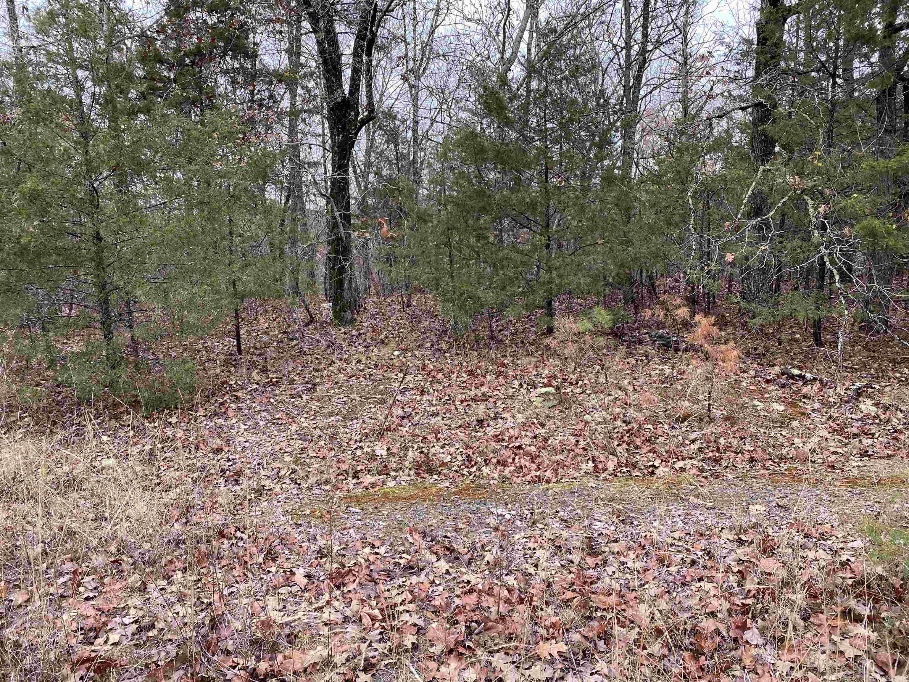 00 Sanders Rock  Higden, AR