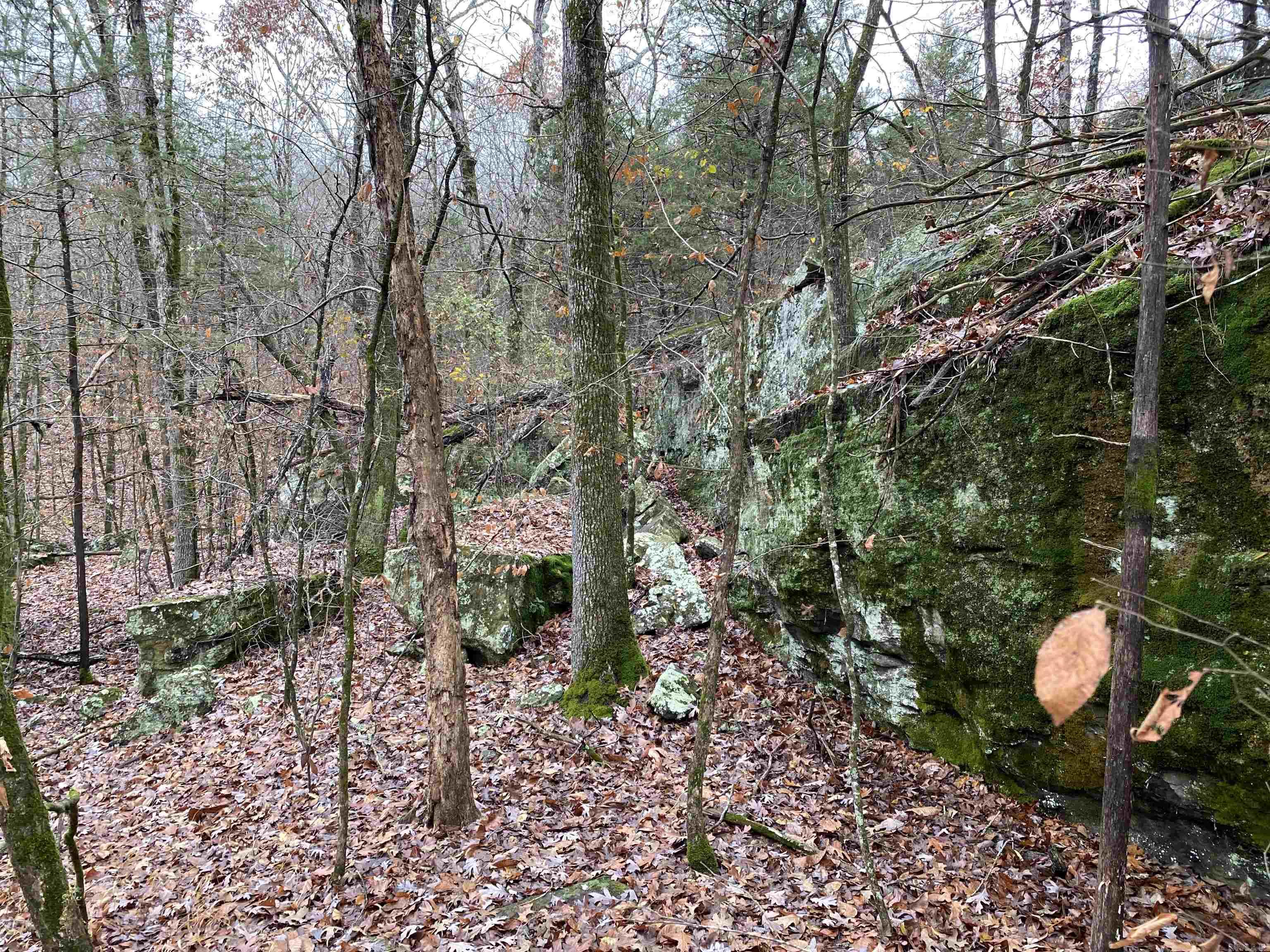 00 Sanders Rock  Higden, AR