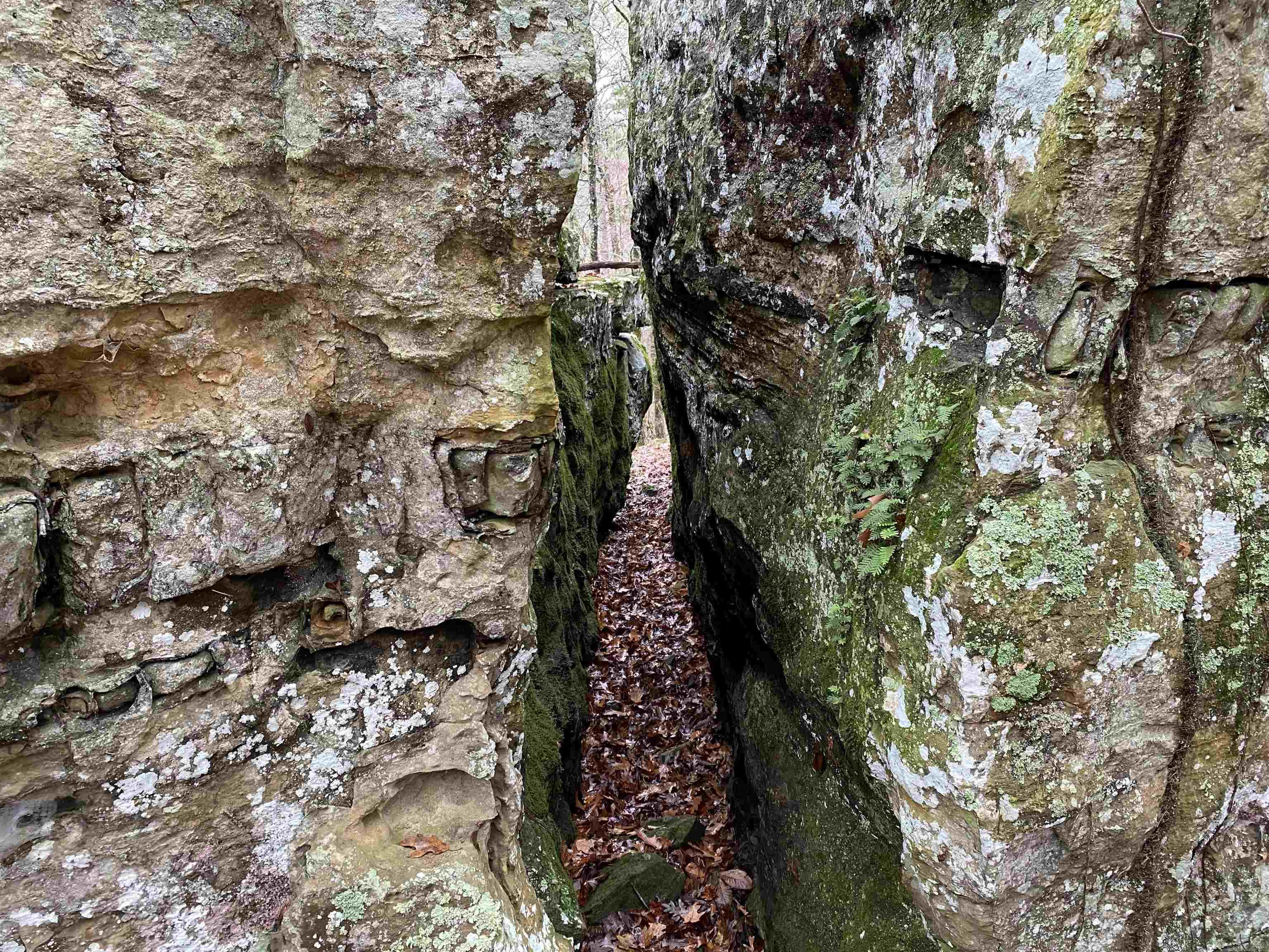 00 Sanders Rock  Higden, AR